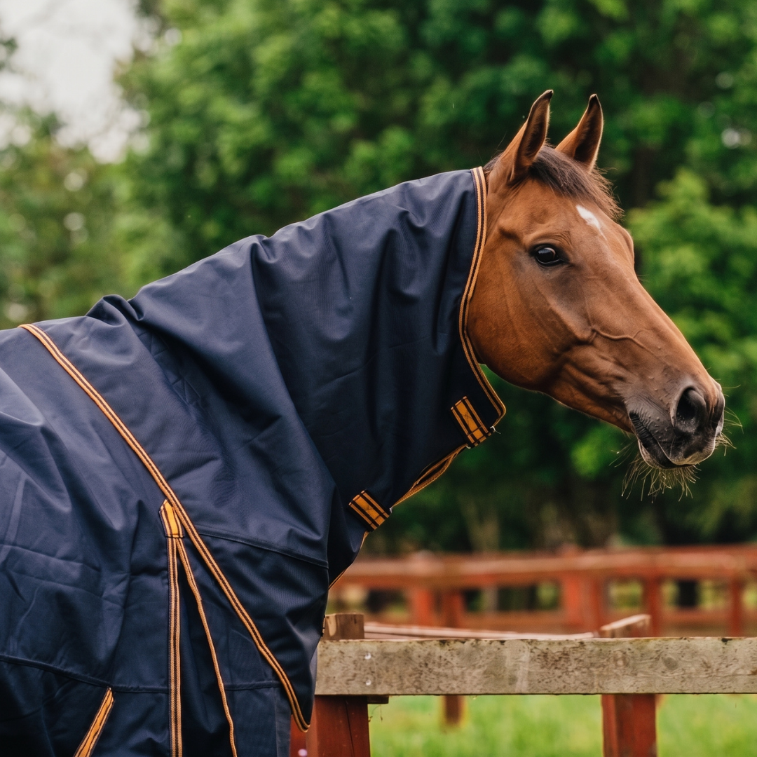 Hyltarp neck cover caisa 250g salute blue