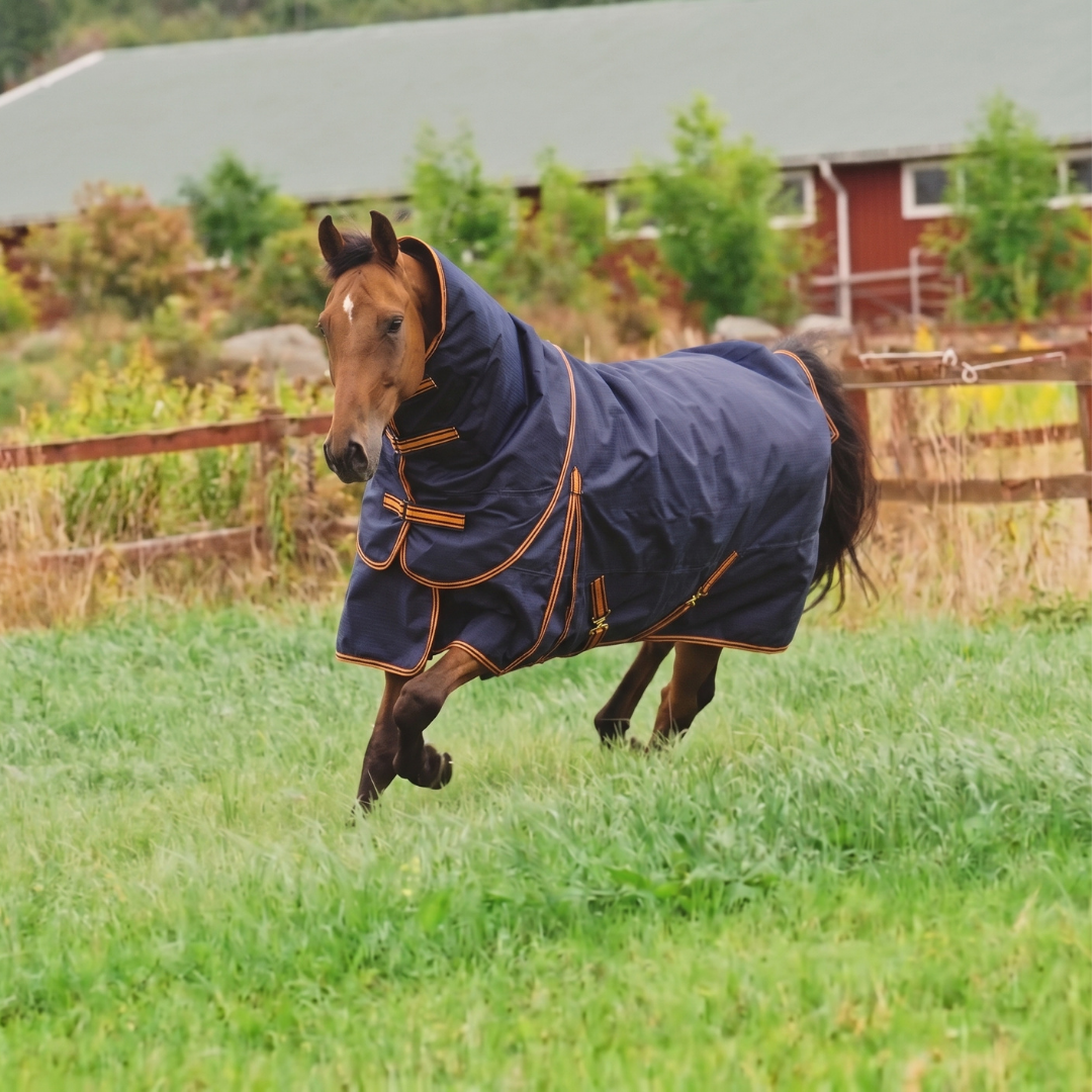 Hyltarp neck cover caisa 250g salute blue