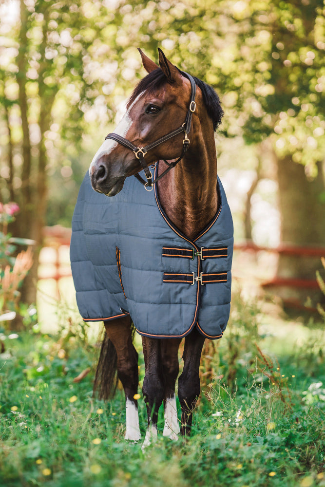 Horse with a china blue turnout rug