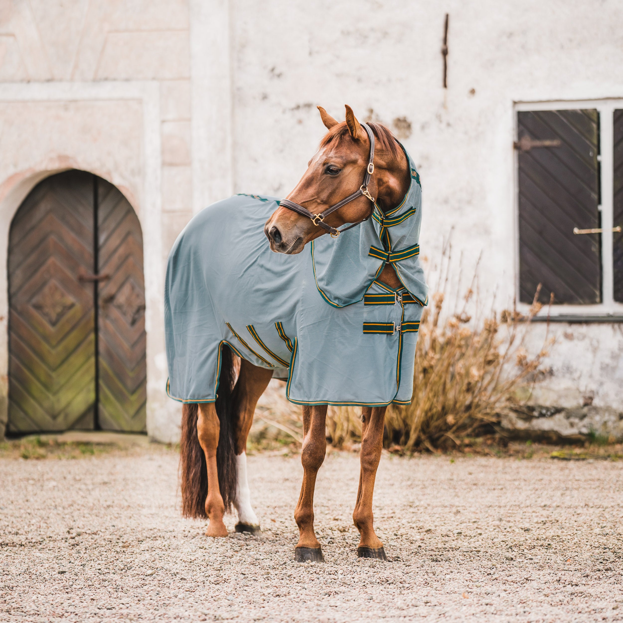 Hyltarp Flugtäcke Bug Slap Segel Green