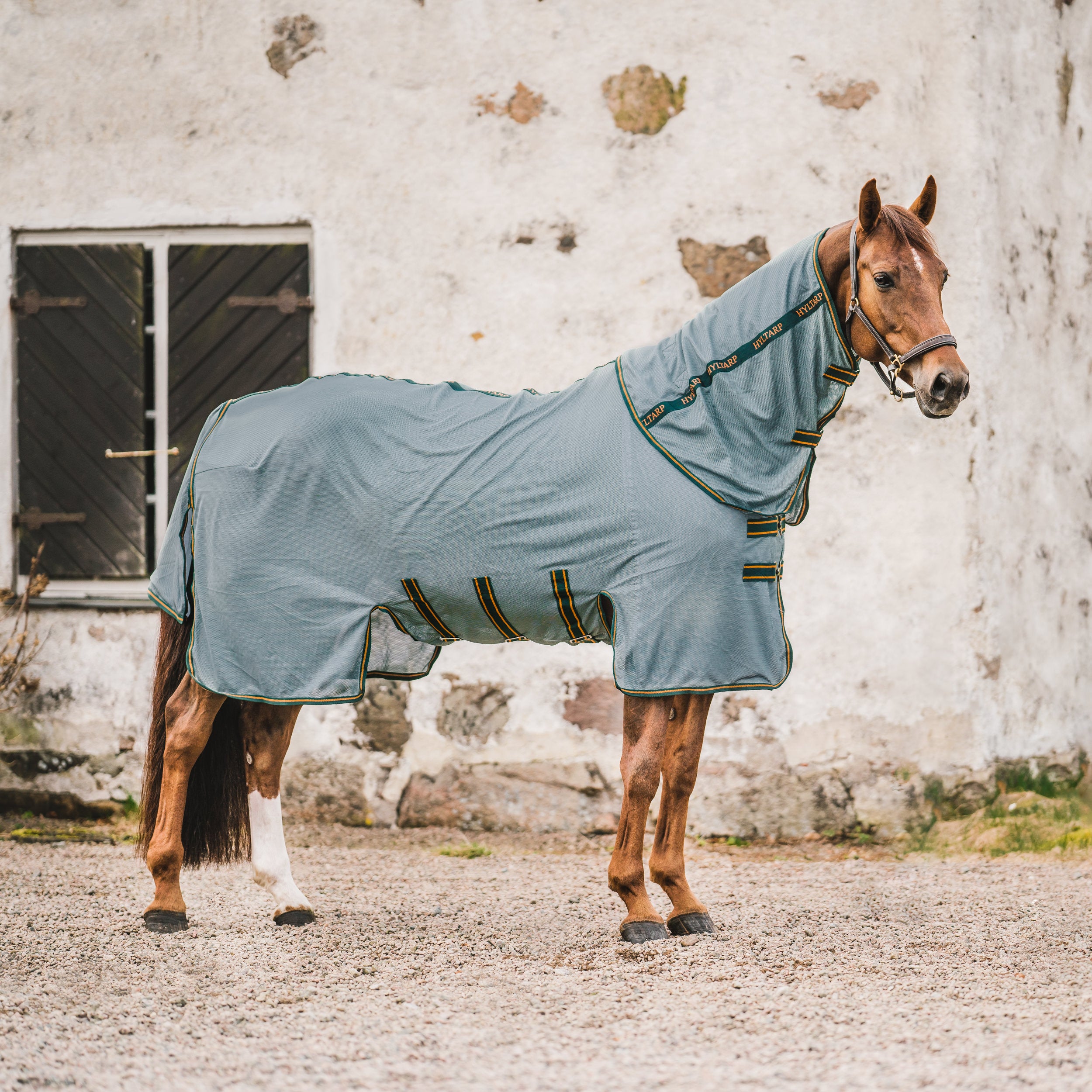 Hyltarp Flugtäcke Bug Slap Segel Green