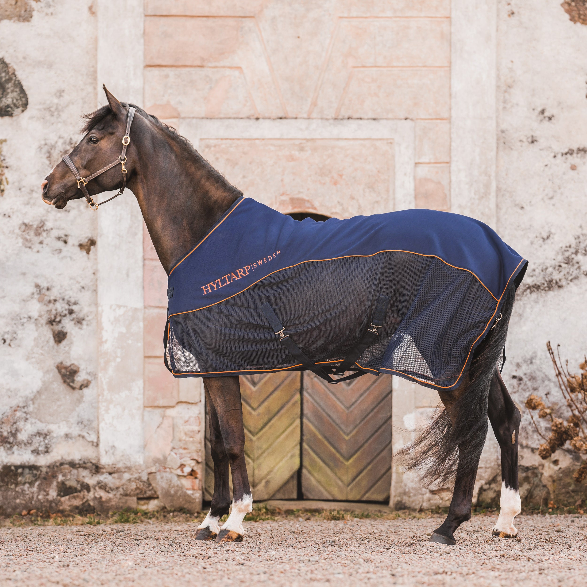 Hyltarp Softshell Competition Navy Blue