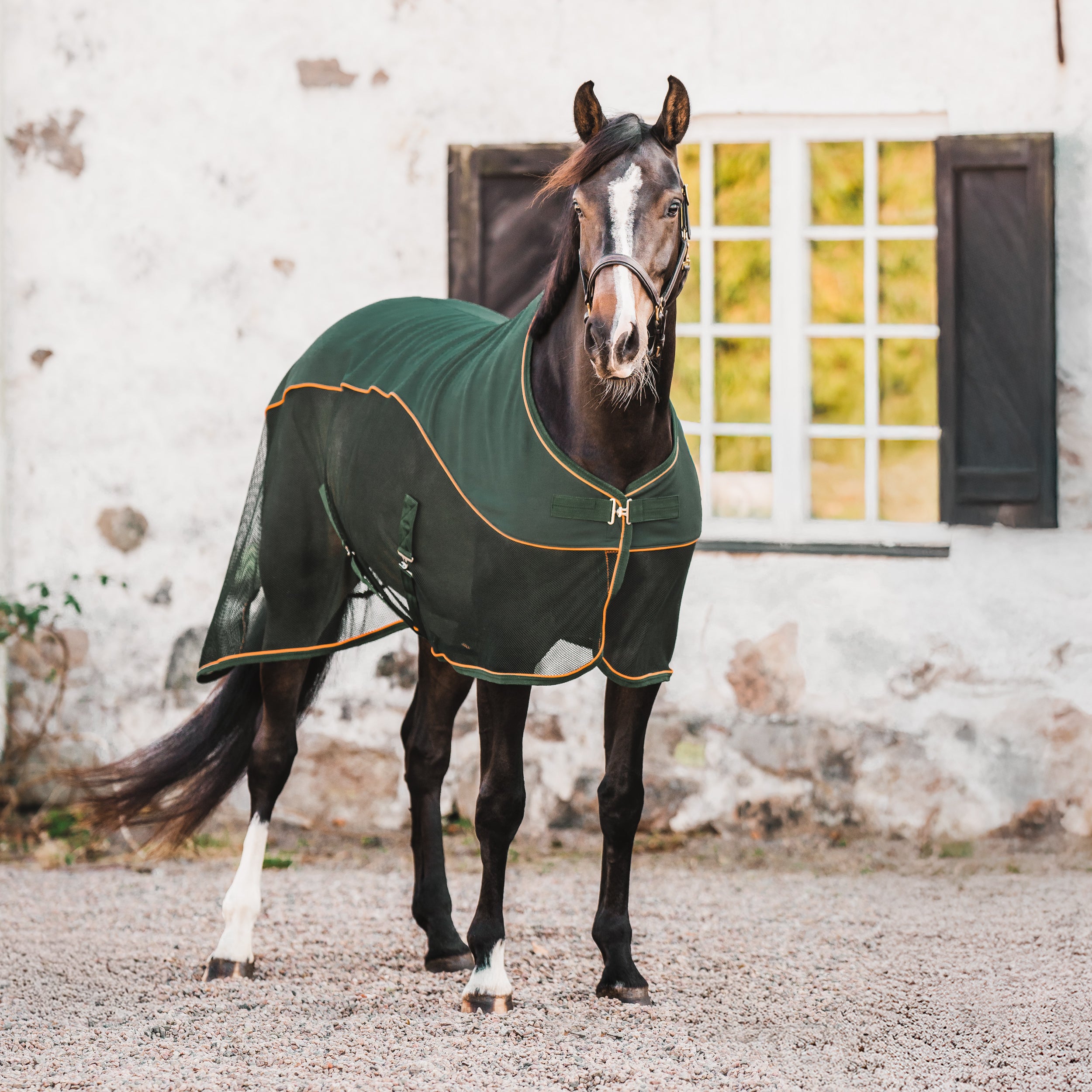 Hyltarp Softshell Competition Pine Grove