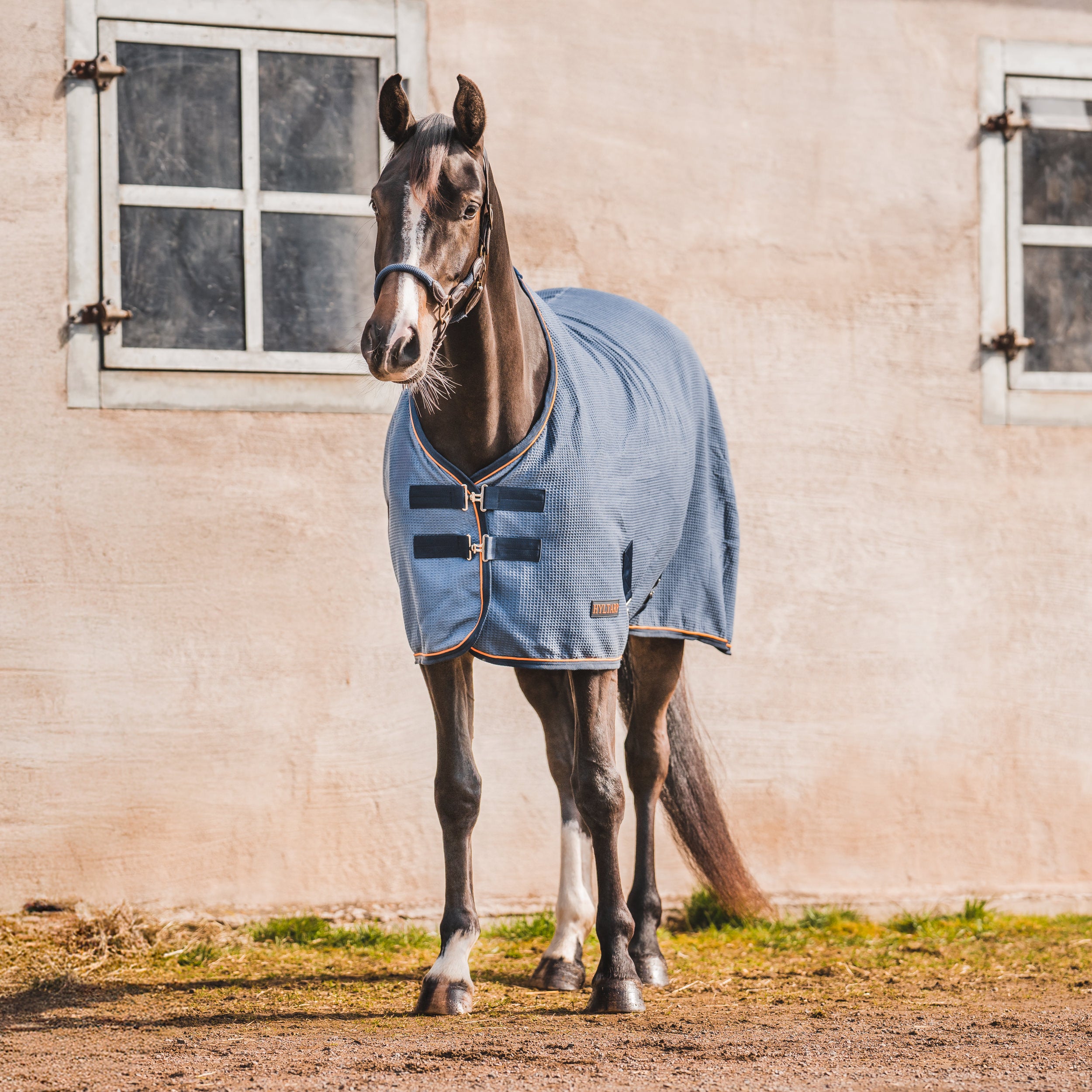 Hyltarp Waffle Dry China Blue