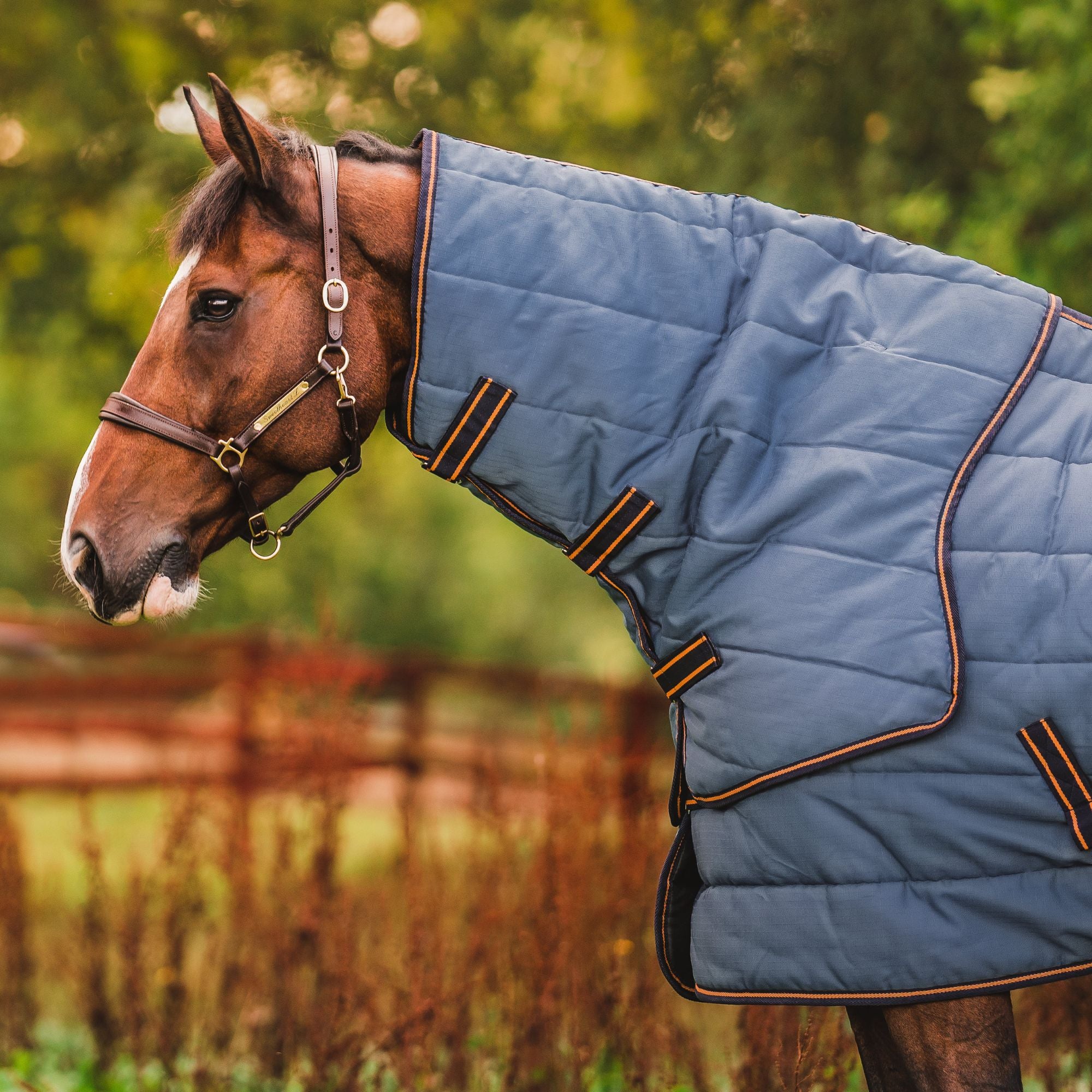 Hyltarp Stable Neck cover 200 g China blue