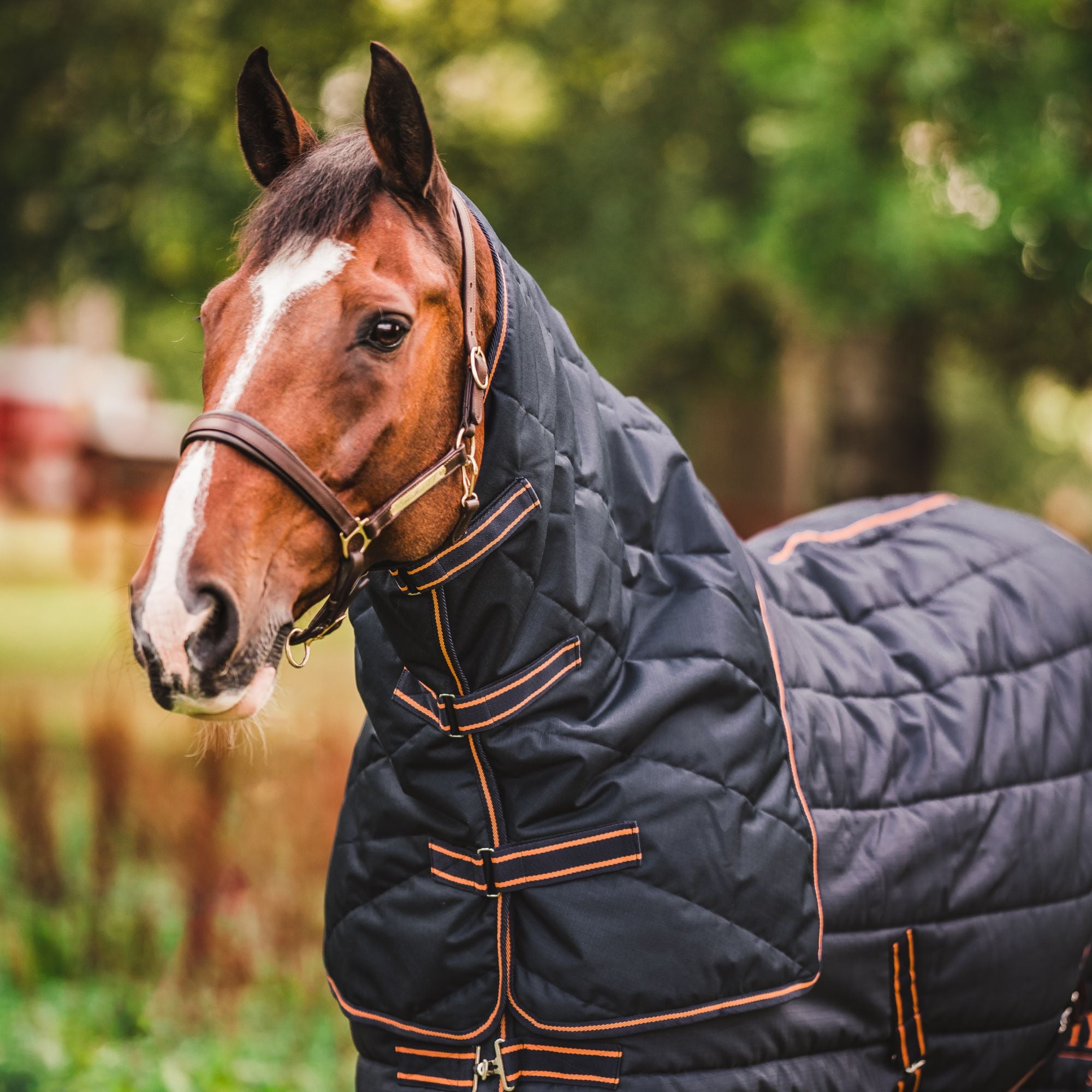 Hals til stalldekken Blaze & Alice 200 g