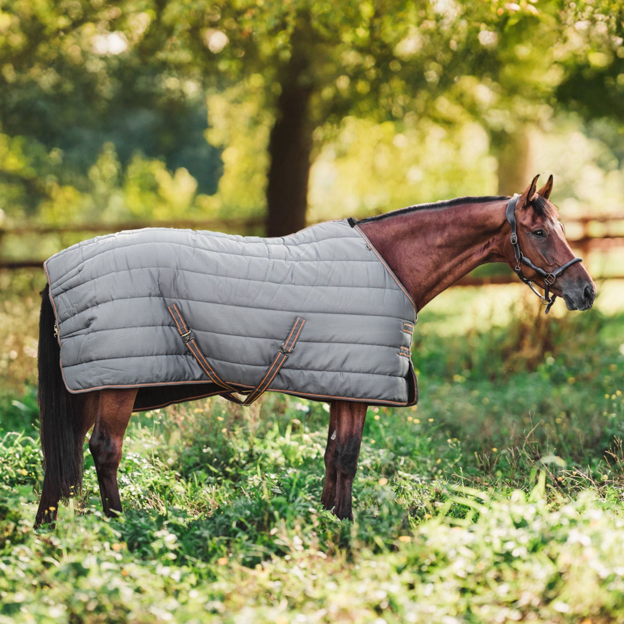 Hyltarp Stable Rug alice 400g Castor grey