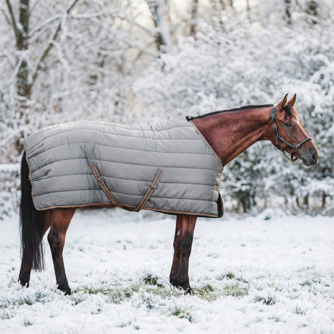 Stable Rug Alice 400 grams