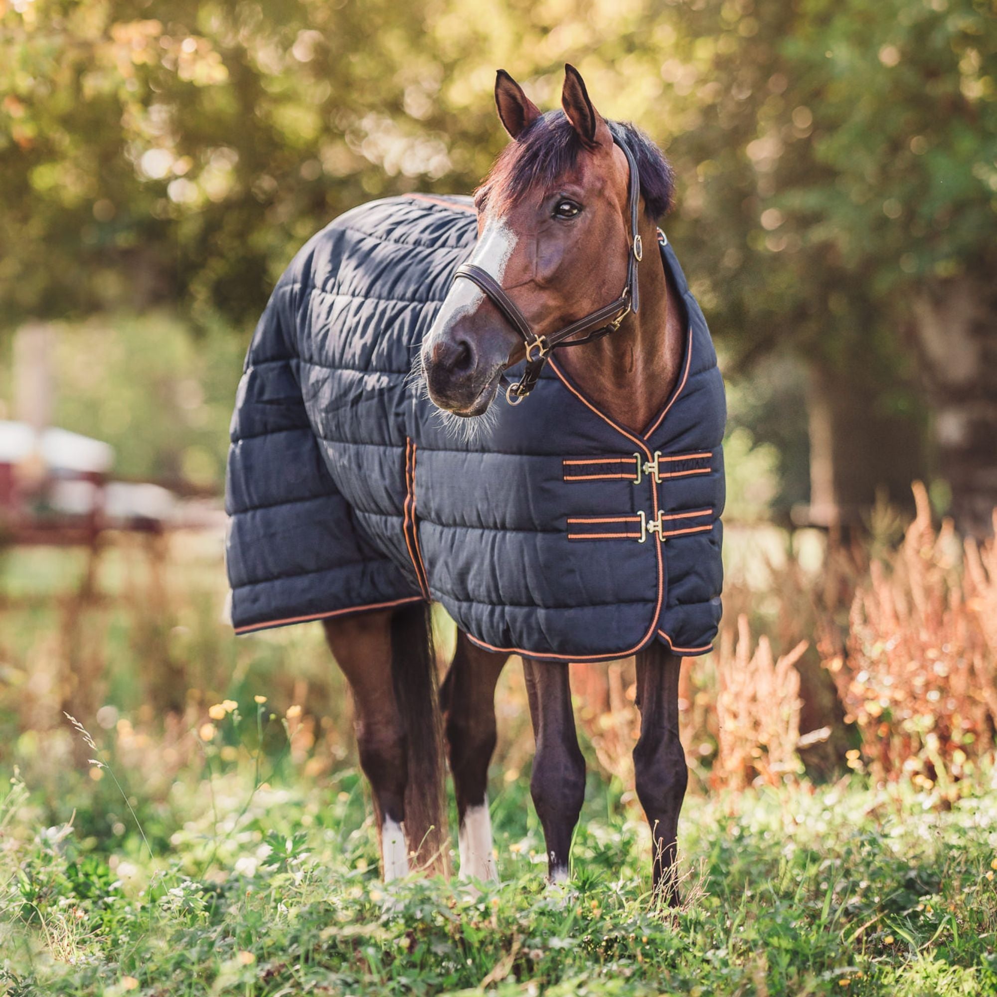 Hyltarp Stable Rug alice 400g Salute blue