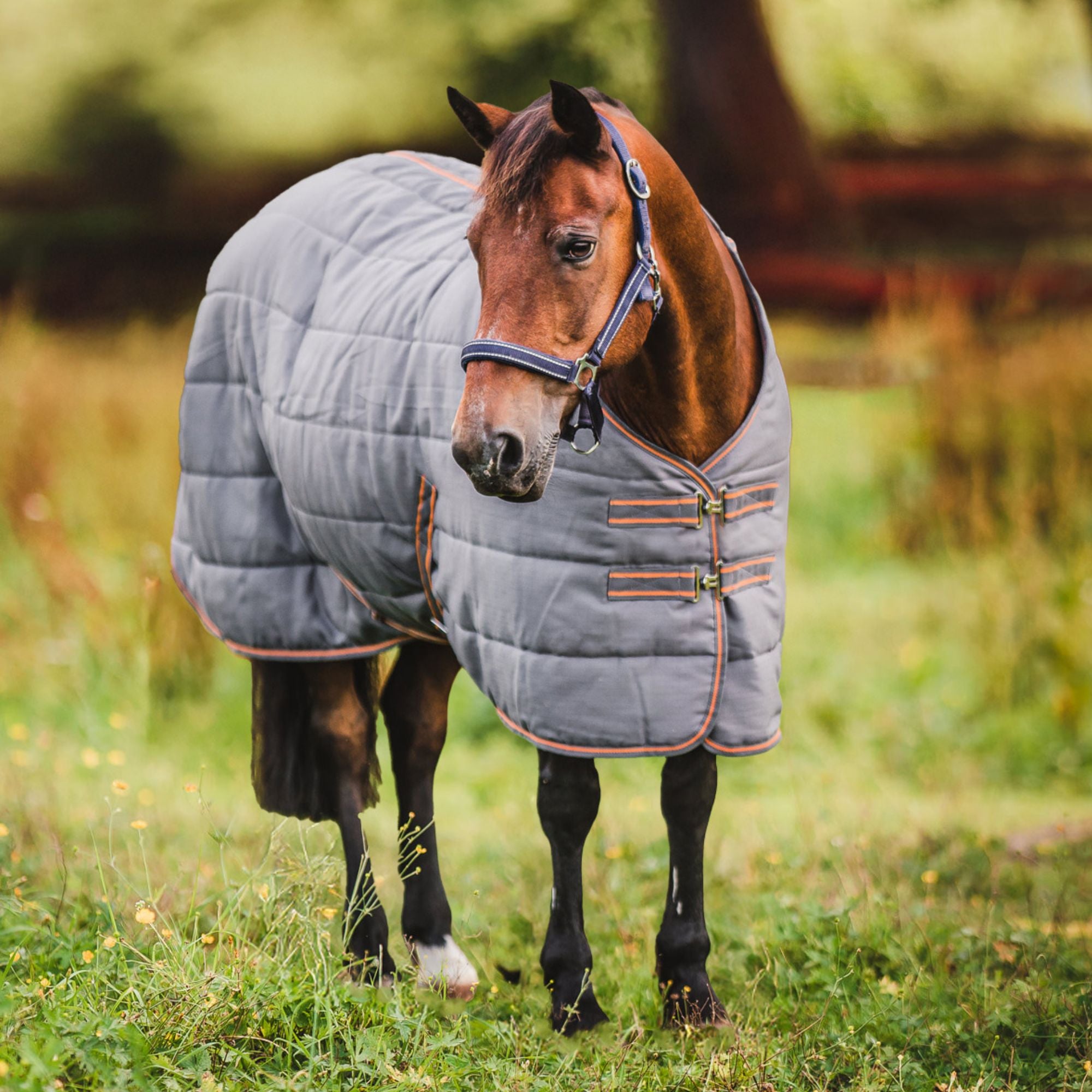 Hyltarp Stable Rug Blaze 200g Castor grey