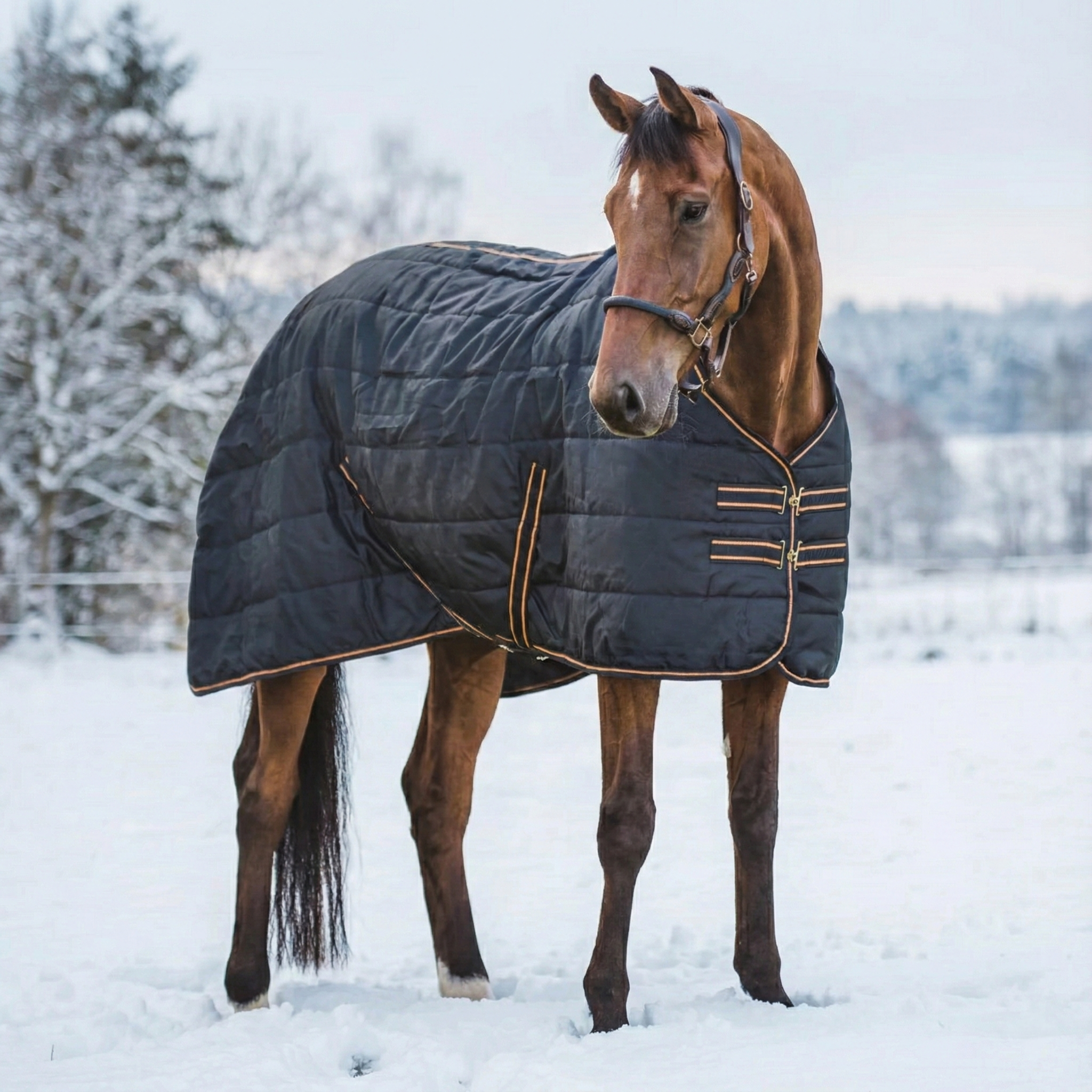 Stable Rug Blaze 200 grams