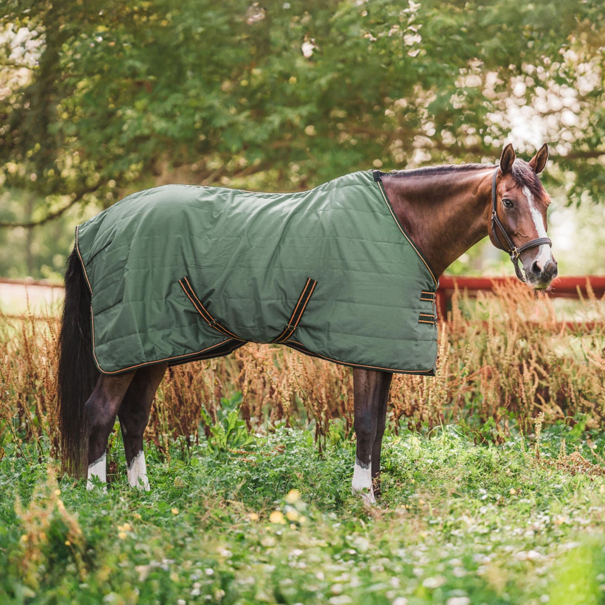 Hyltarp Stable Rug Niki 0 gram Military green