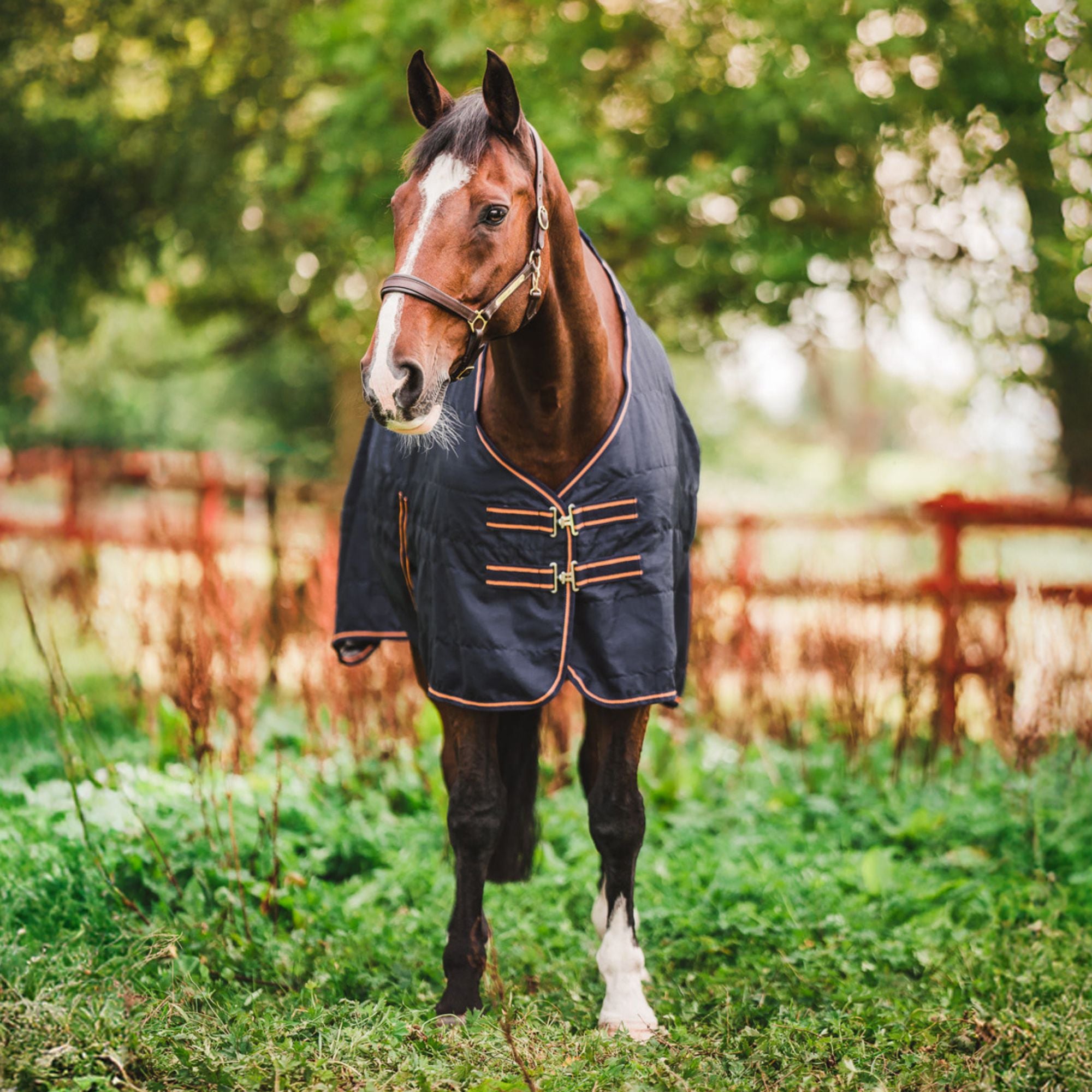 Hyltarp Stable Rug Niki 0 gram Salute blue