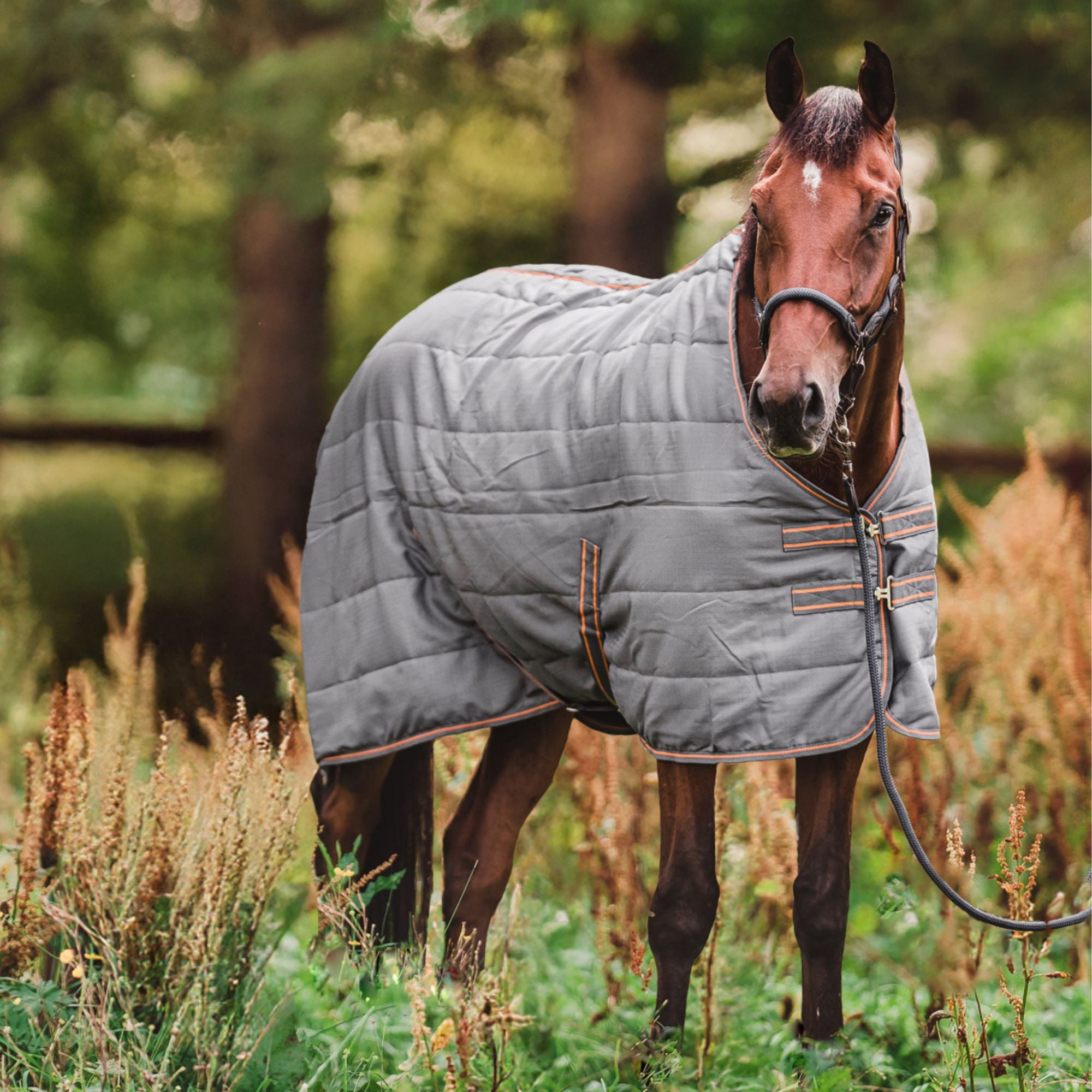 Hyltarp Stalltäcke Razzla 100 g Castor Grey