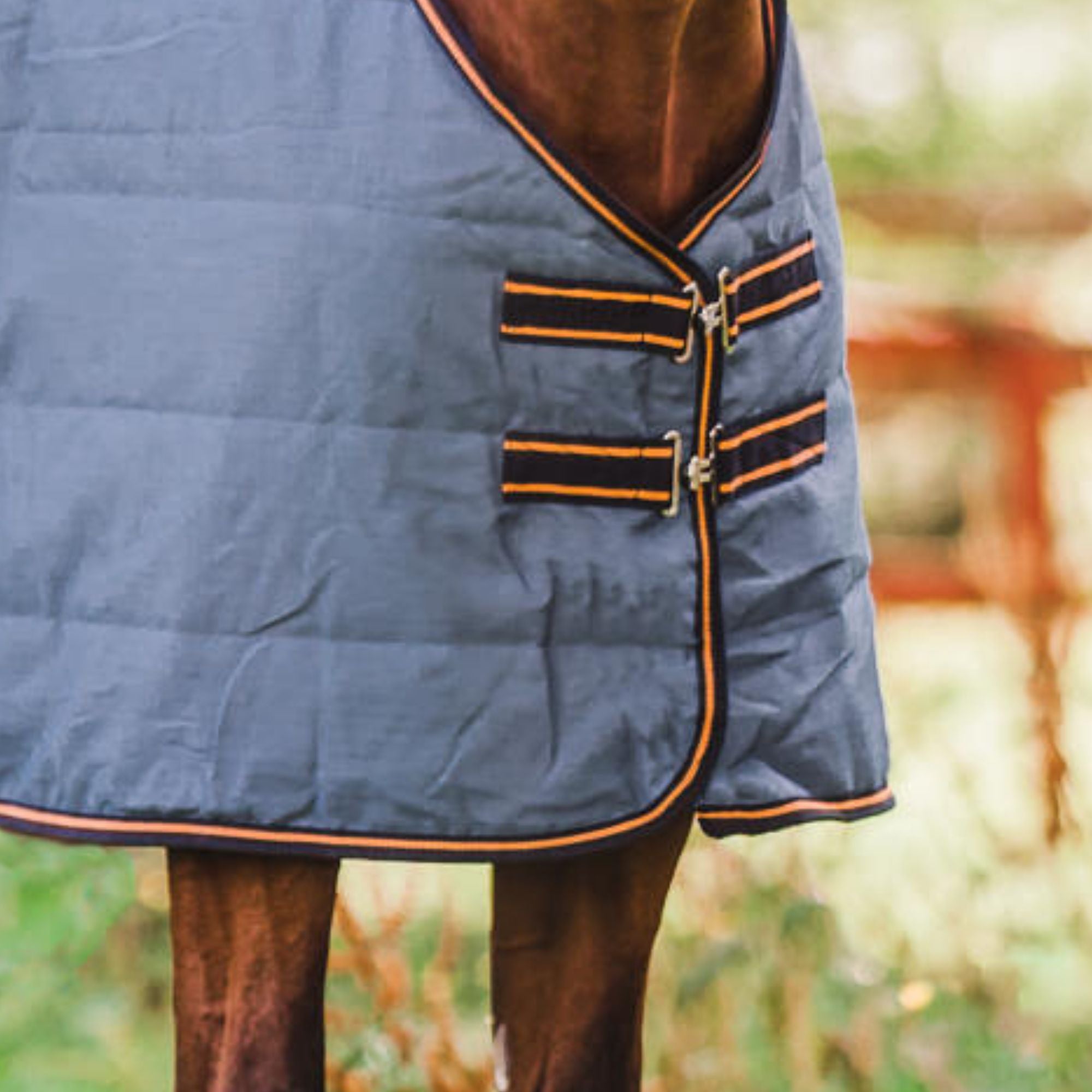 Hyltarp Stalltäcke Razzla 100g China Blue