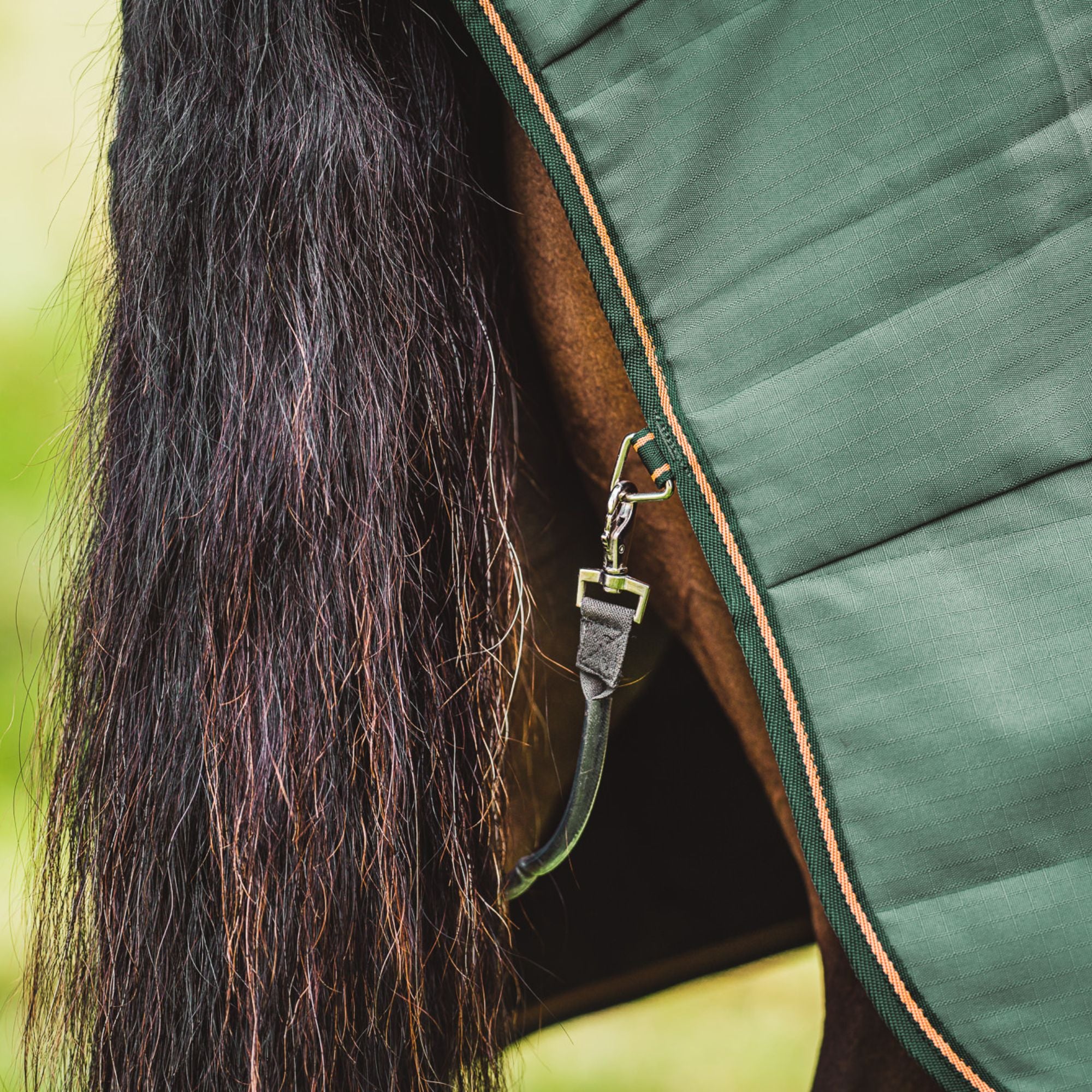 Hyltarp Stalltäcke Razzla 100 g