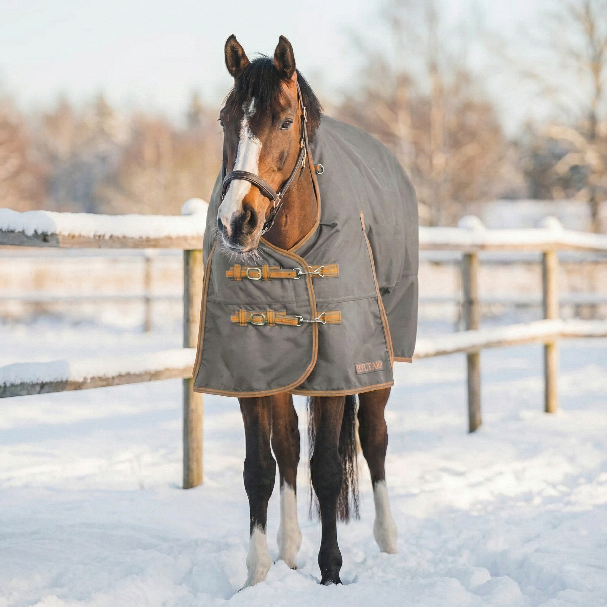 Hyltarp Utetäcke Caisa 250 g