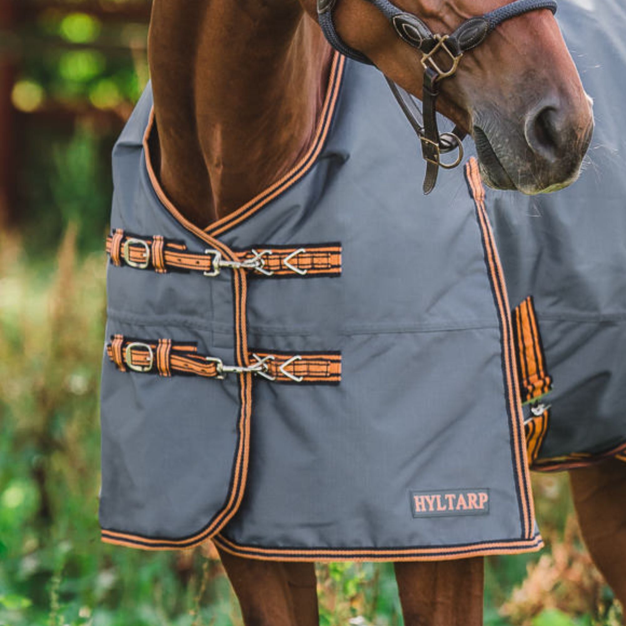 Hyltarp Utetäcke Caisa 250 g