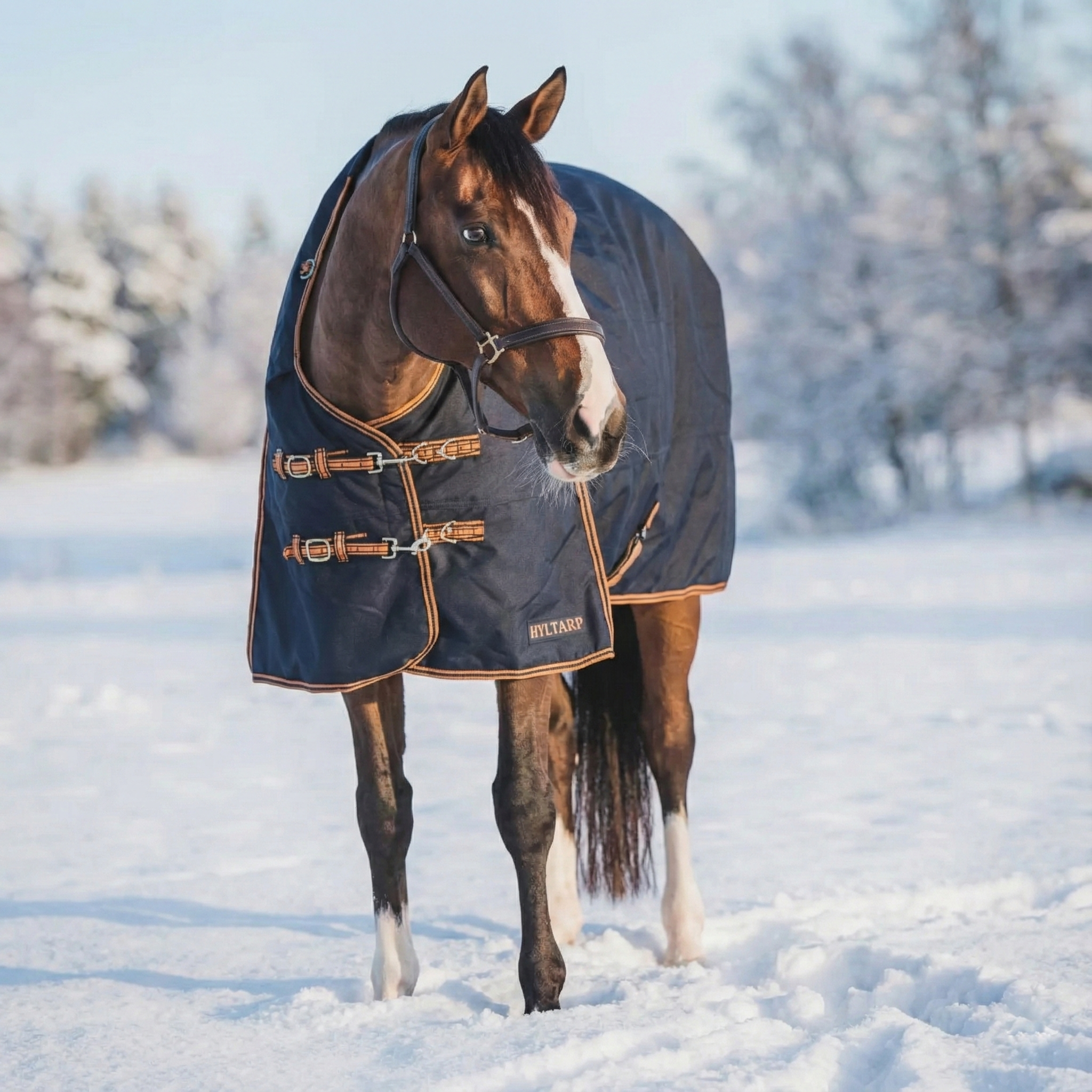 Turnout Rug Caisa 250 grams