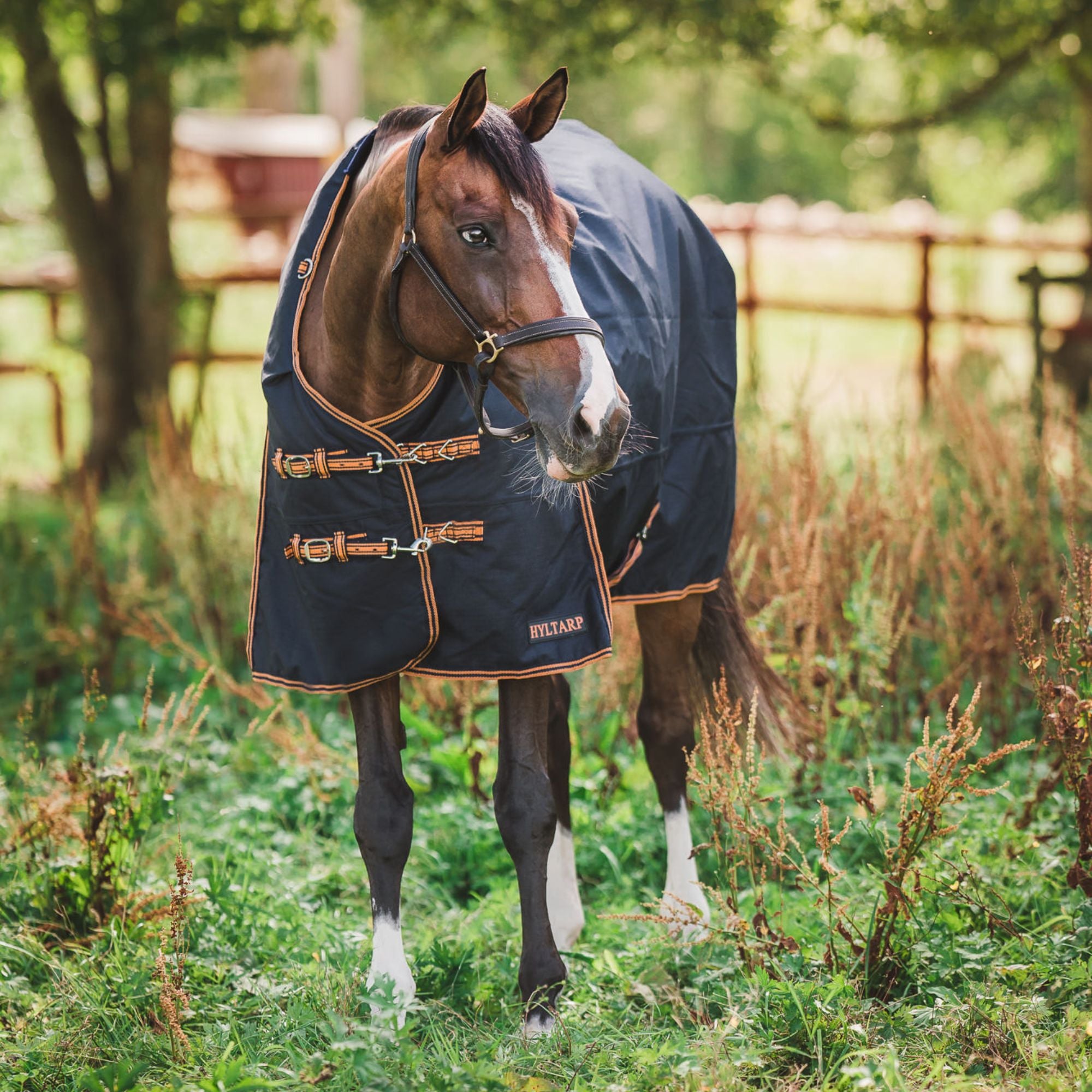 Manta de exterior Caisa 250 gramos