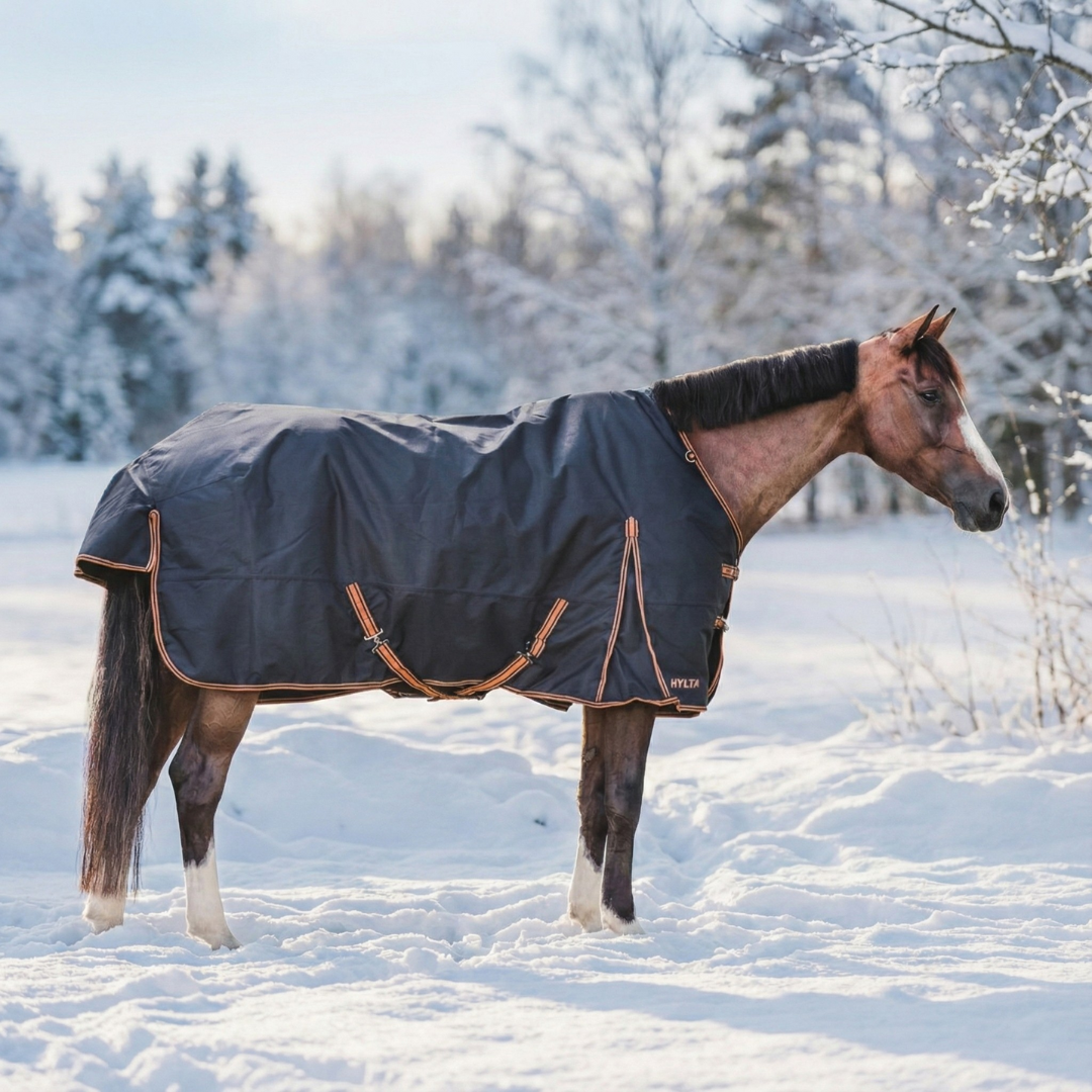 Turnout Rug Caisa 250 grams