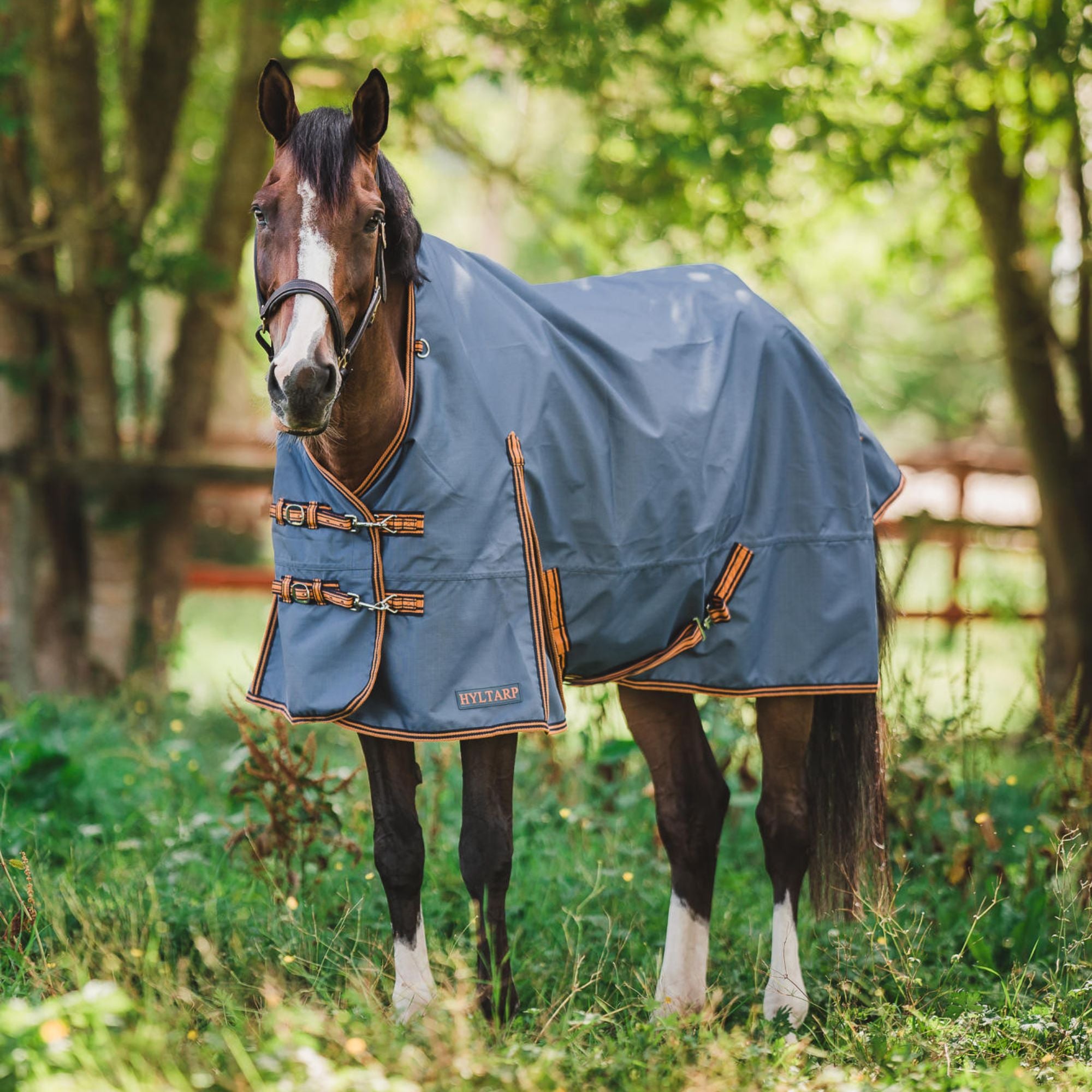 Hyltarp turnout rug Dusty 0g china blue
