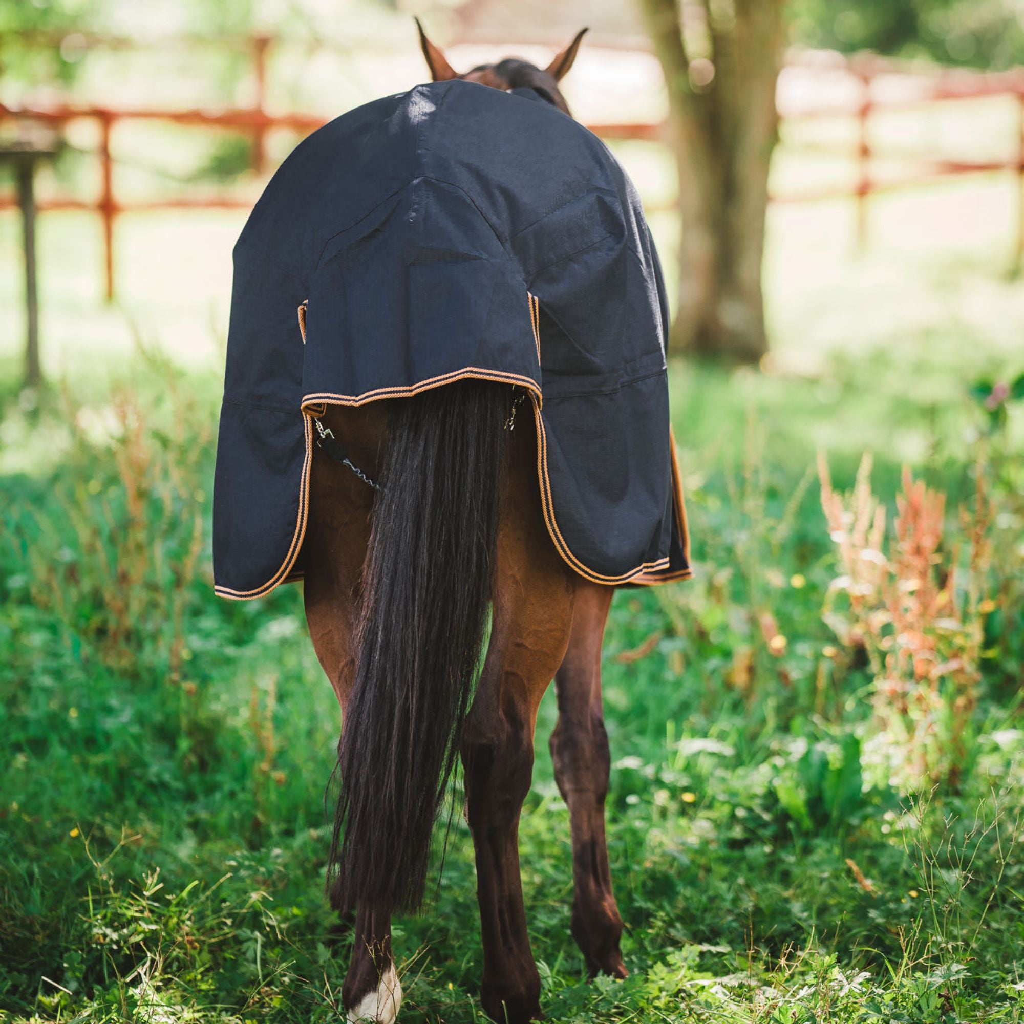 Hyltarp Regntäcke Dusty 0 g