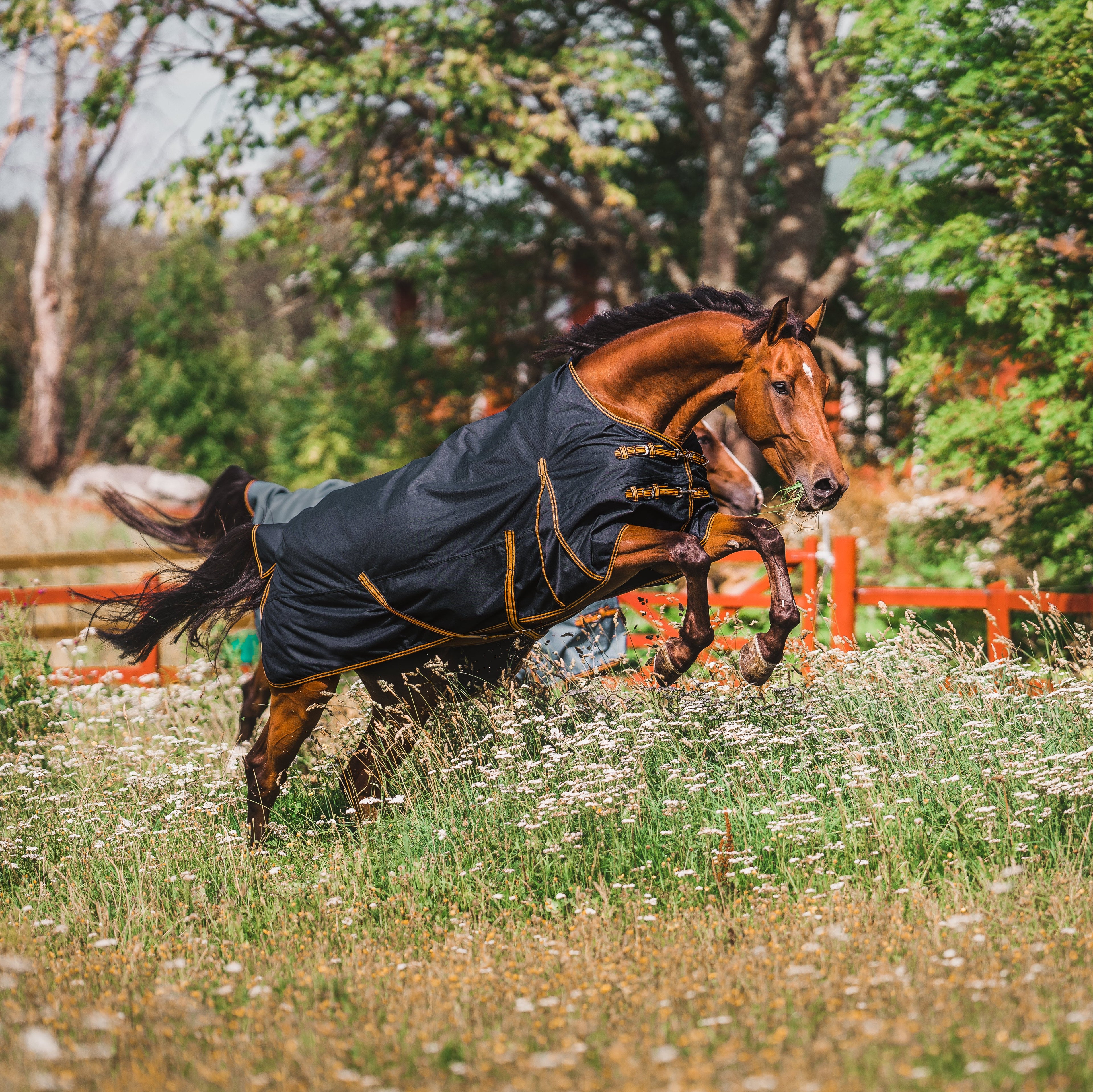 Hyltarp Regntäcke Dusty 0 g
