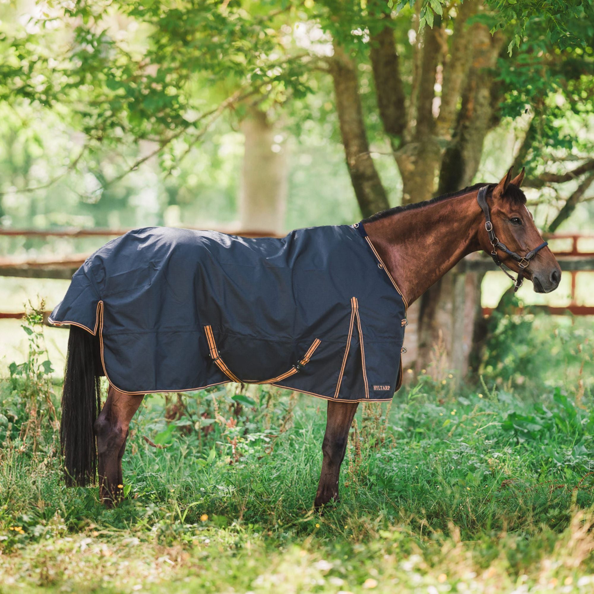 Hyltarp Regntäcke Dusty 0 g