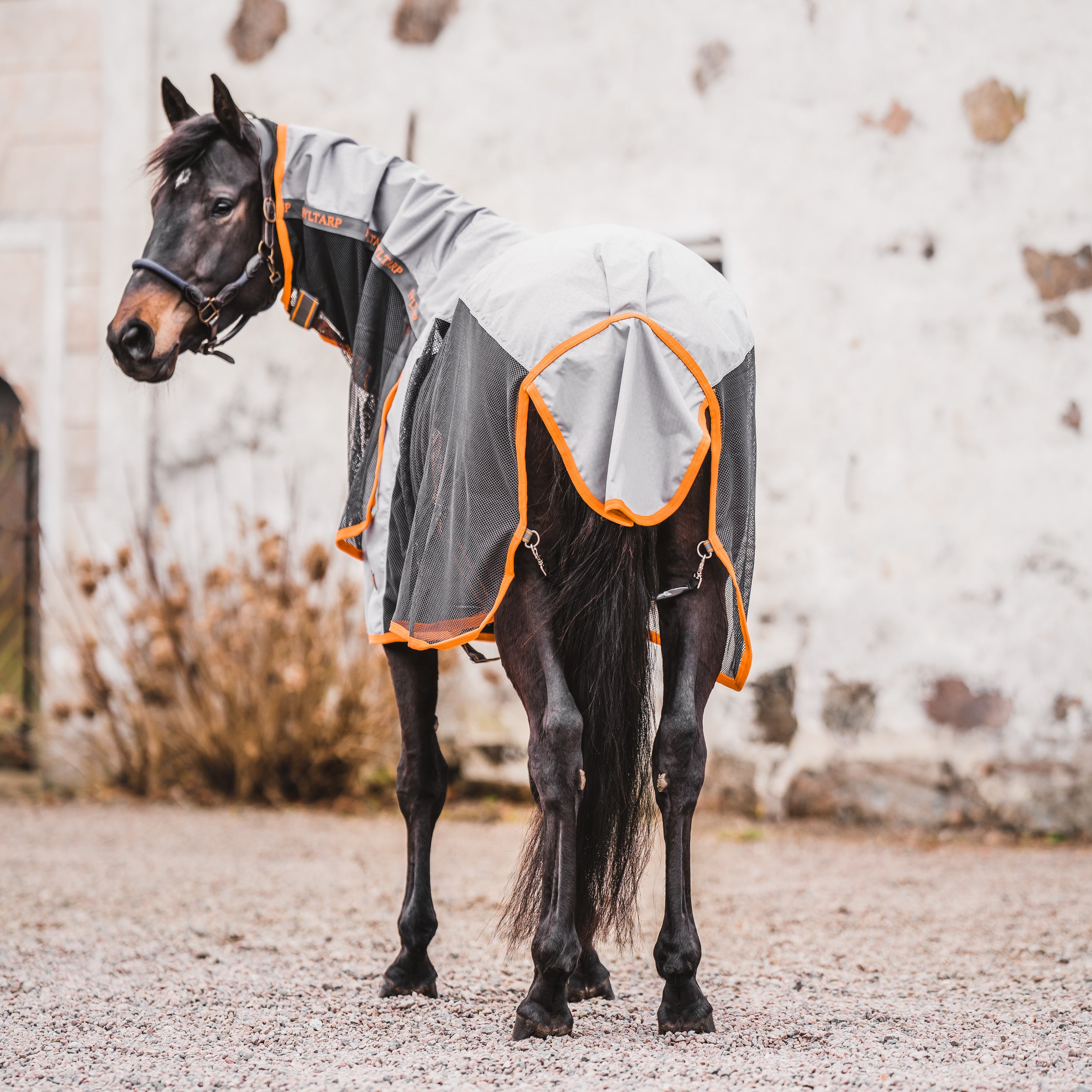 Hyltarp Summer Rain Alloy