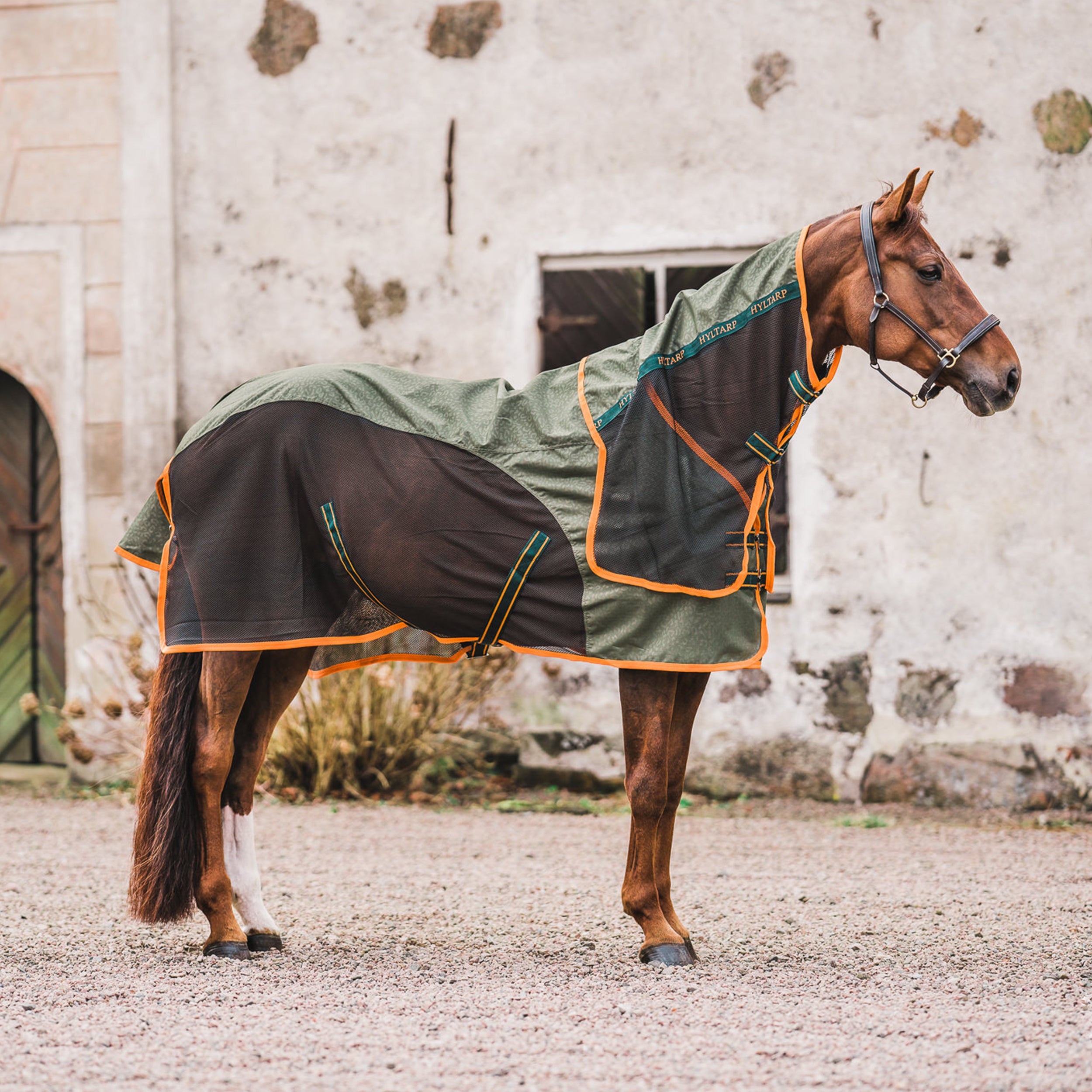 Hyltarp Summer Rain Safari Green