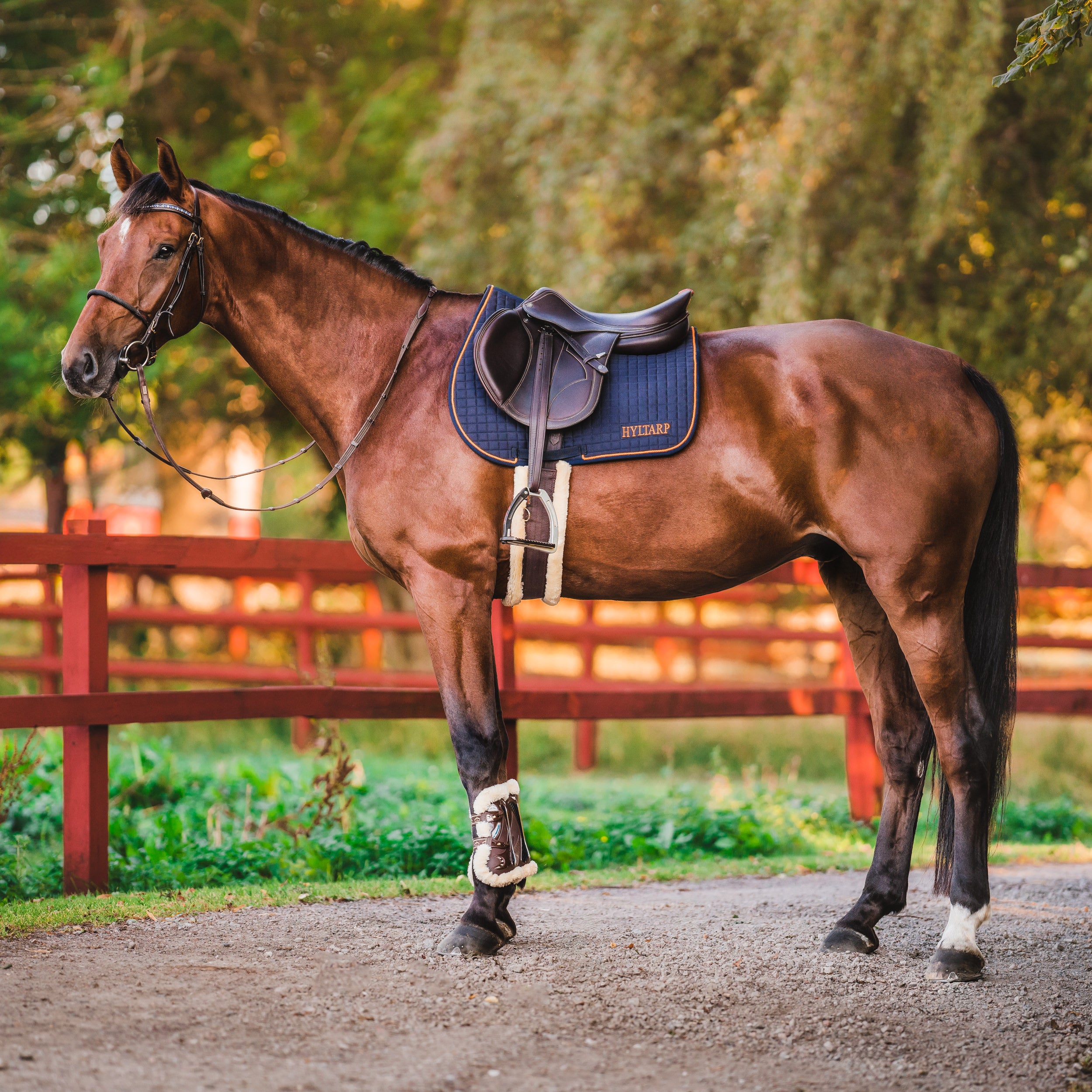 Hyltarp Hoppschabrak Blå