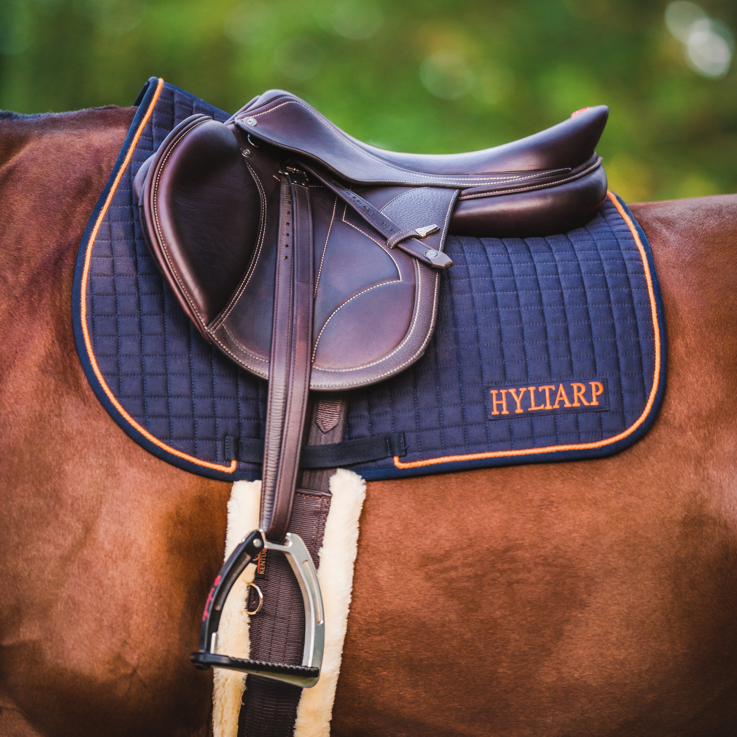 Hyltarp Hoppschabrak Blå