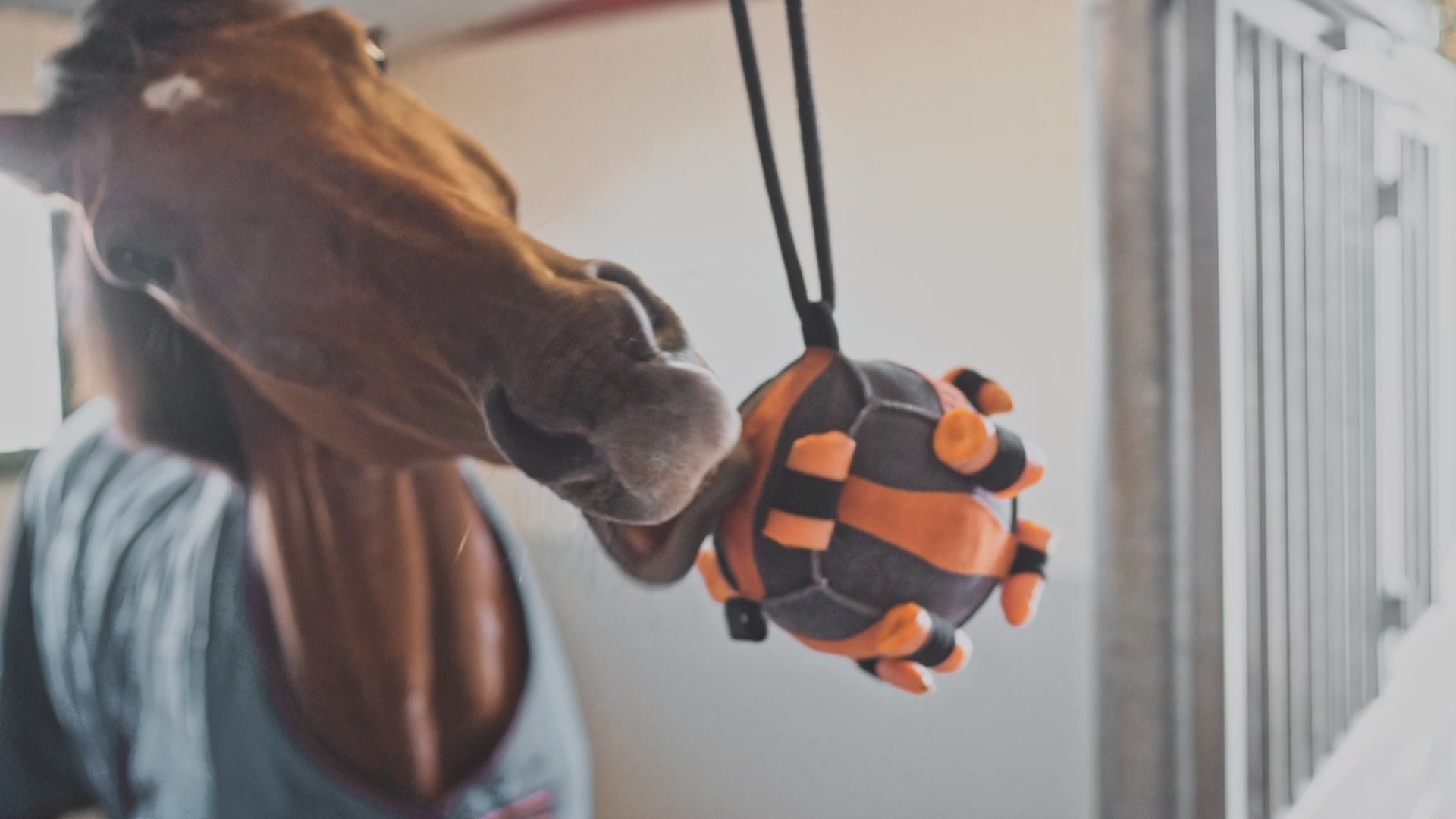 Paardenspeelgoed Bella