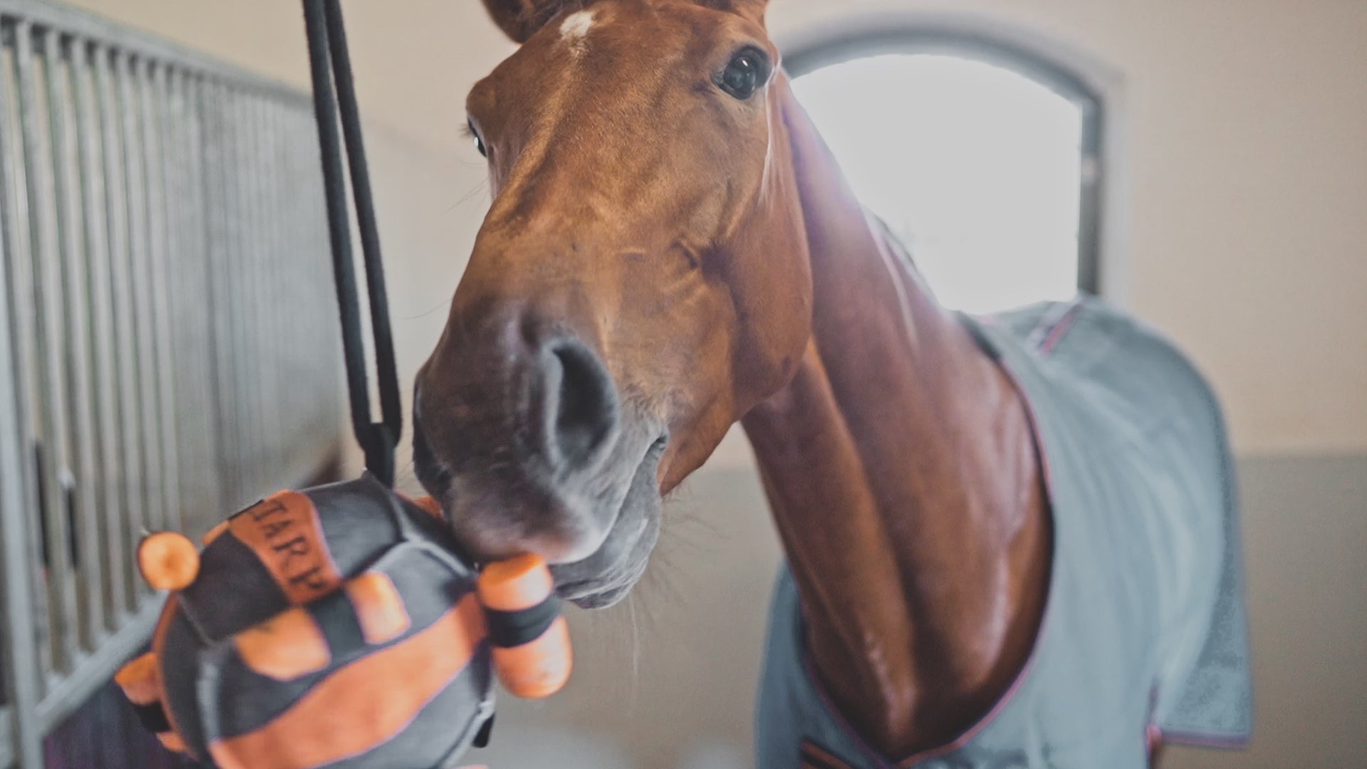 Paardenspeelgoed Bella
