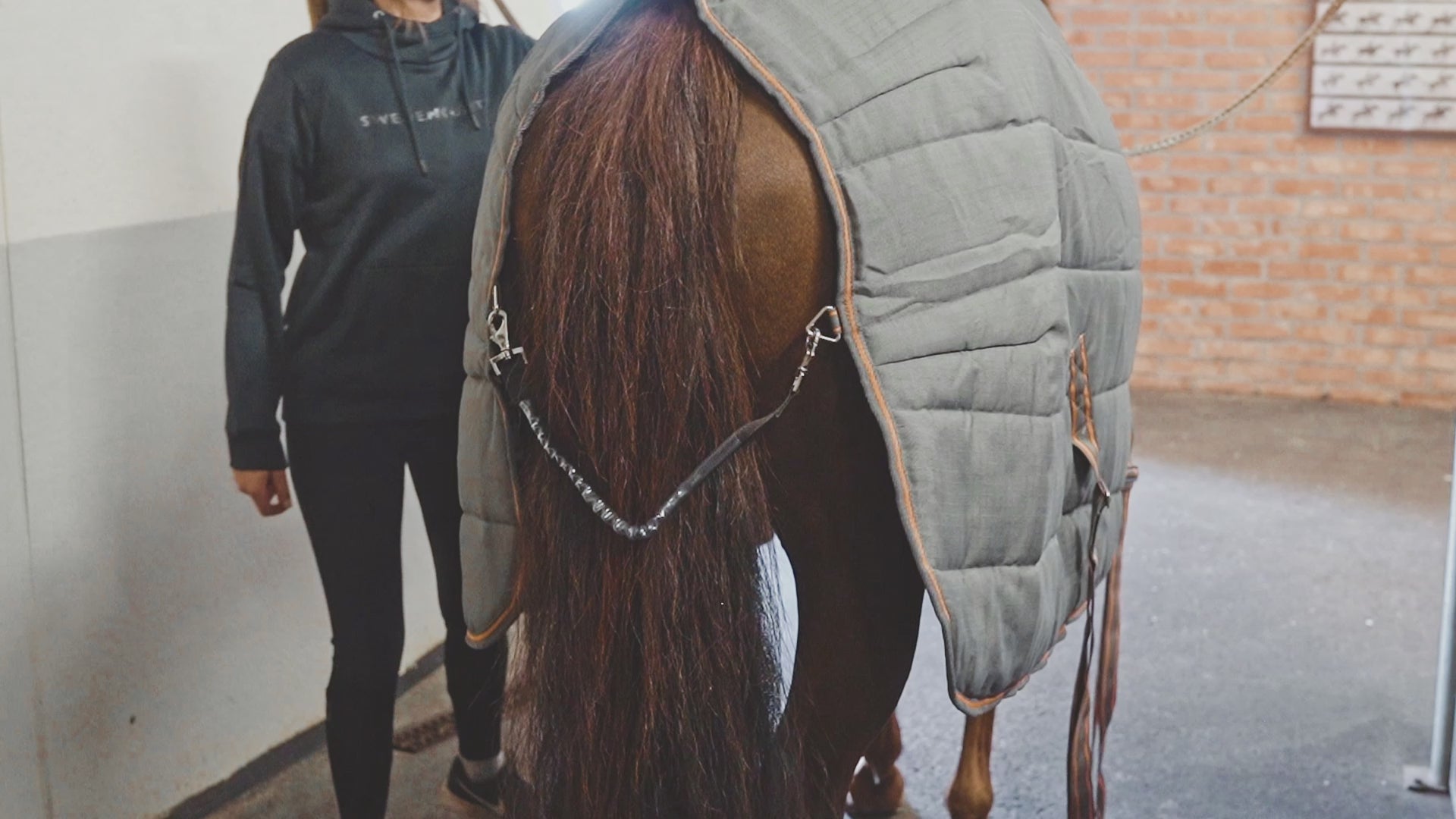 Stable Rug Razzla 100 grams