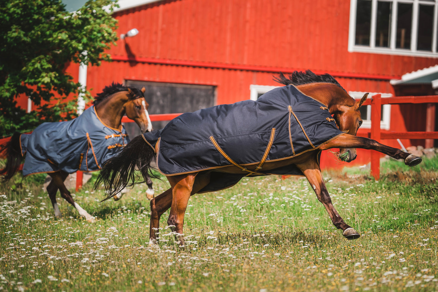 Hösten är på ingång