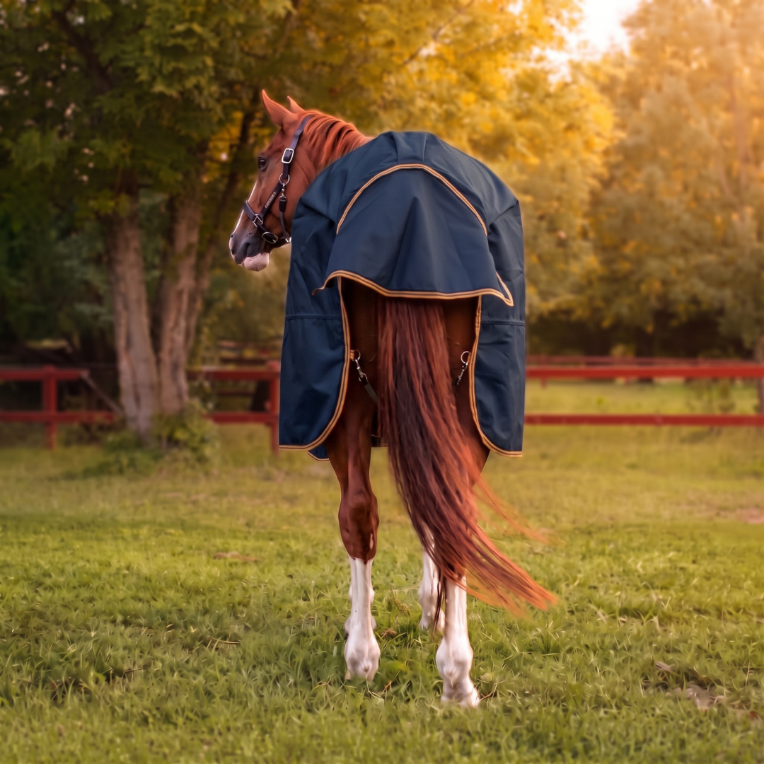 Hyltarp Outdoor Adjust 50 g 
