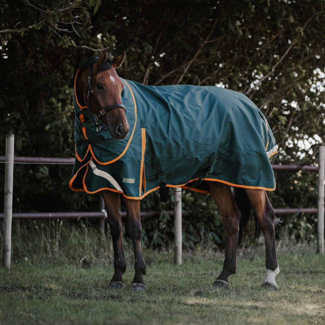 Hyltarp Outdoor Classic 50g
