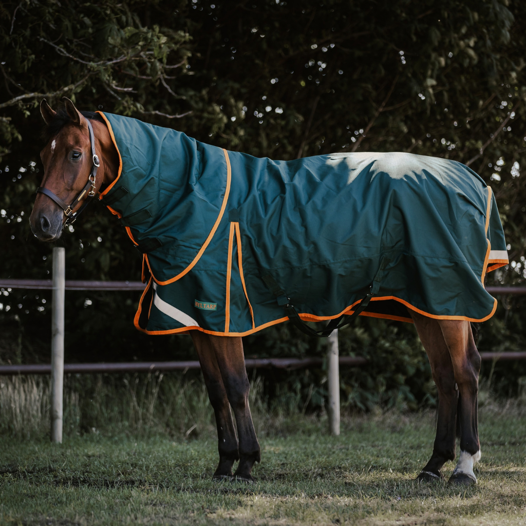 Hyltarp Outdoor Classic 50g
