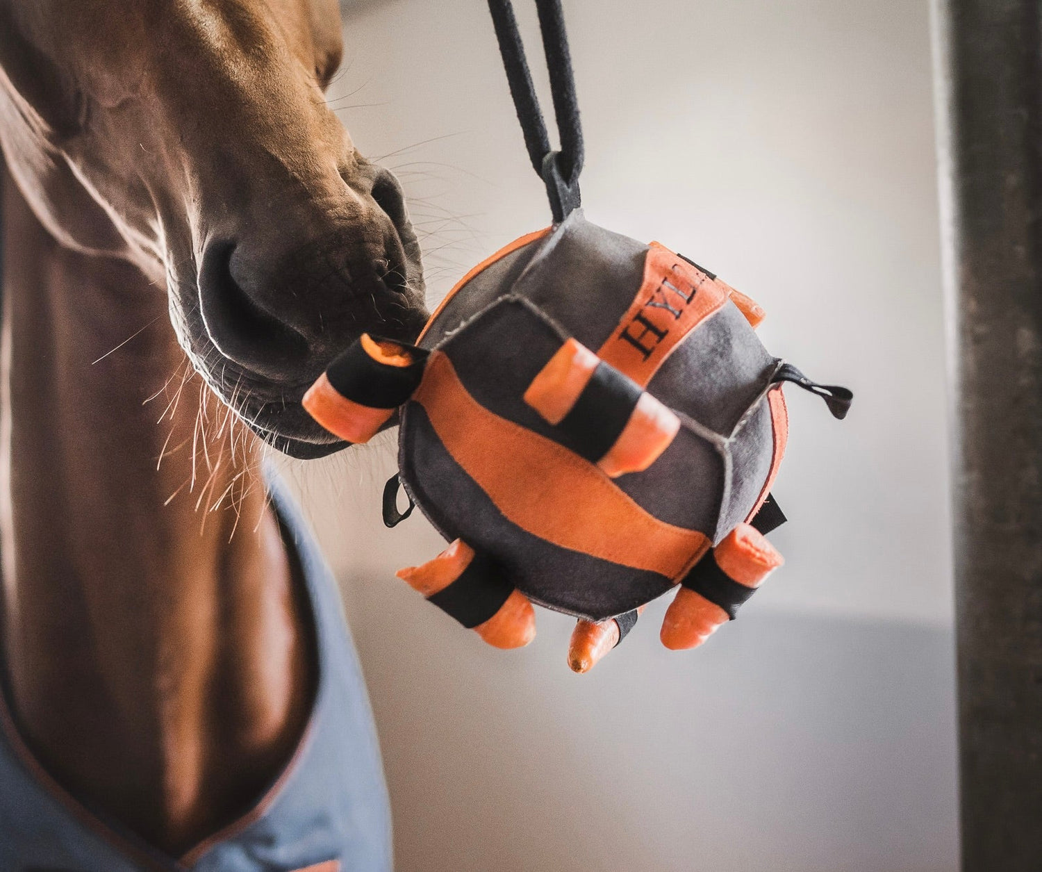 Hyltarp Hastleksak Bella