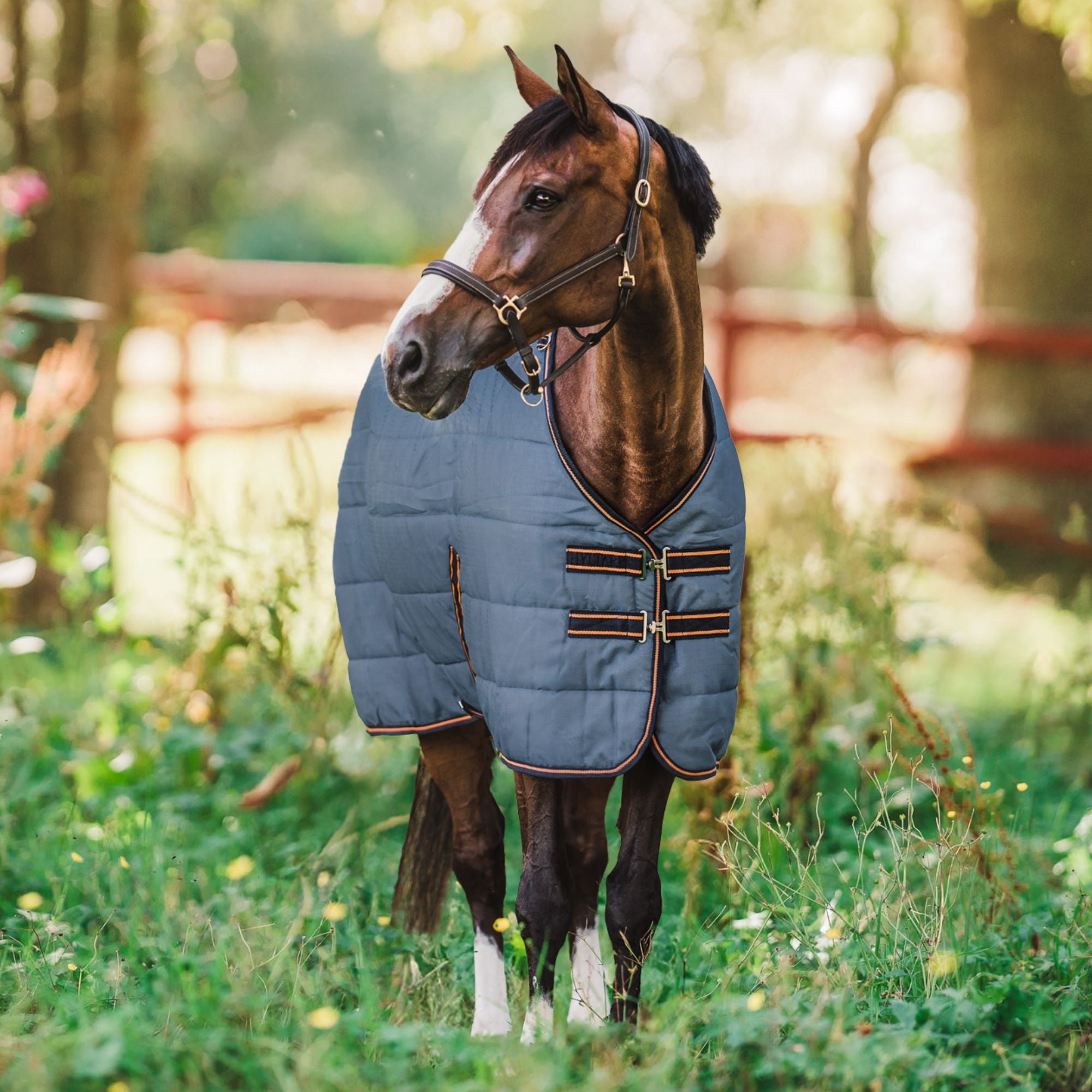 Hyltarp Stable rug Blaze 200g china blue