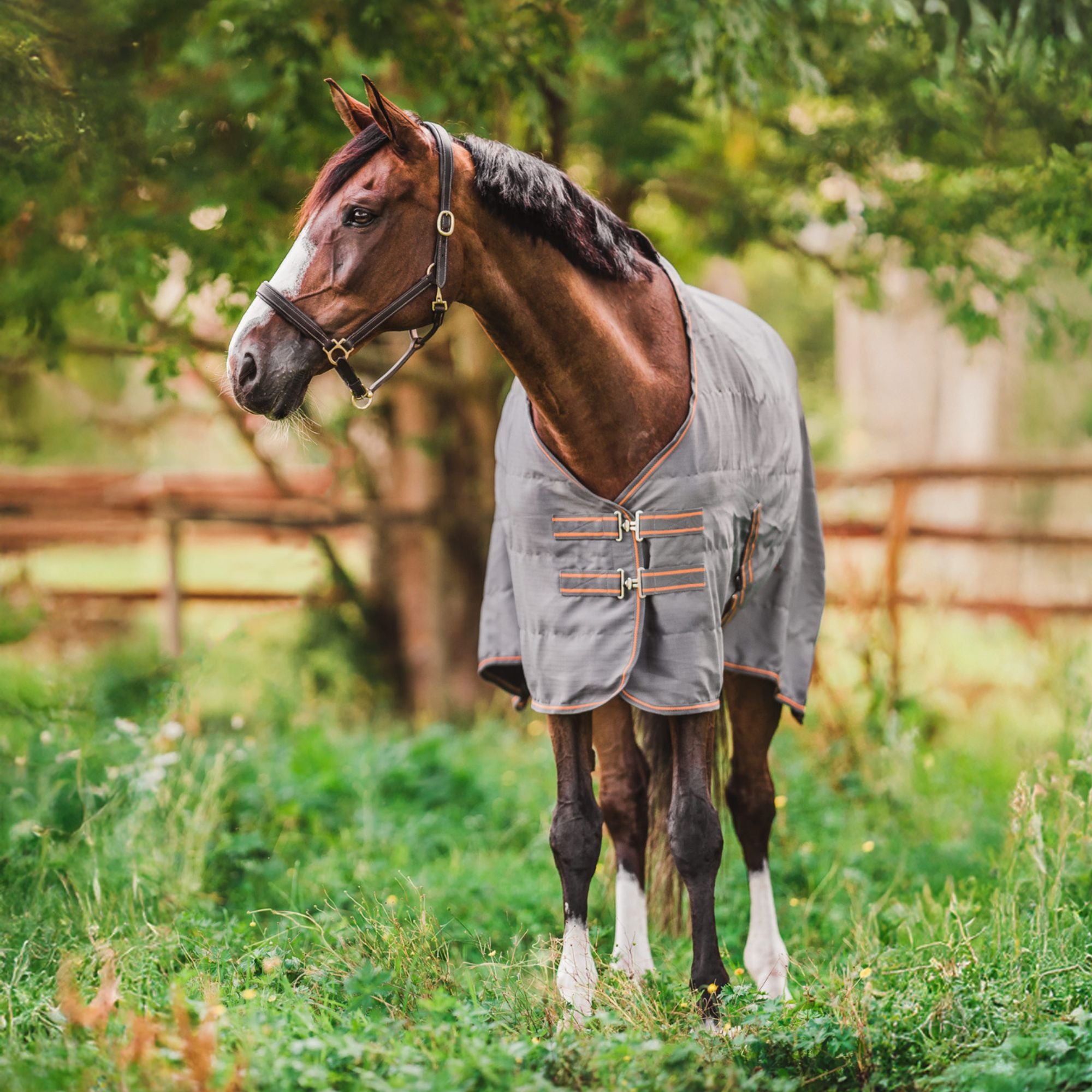 Hyltarp Stable rug Niki 0g castor grey