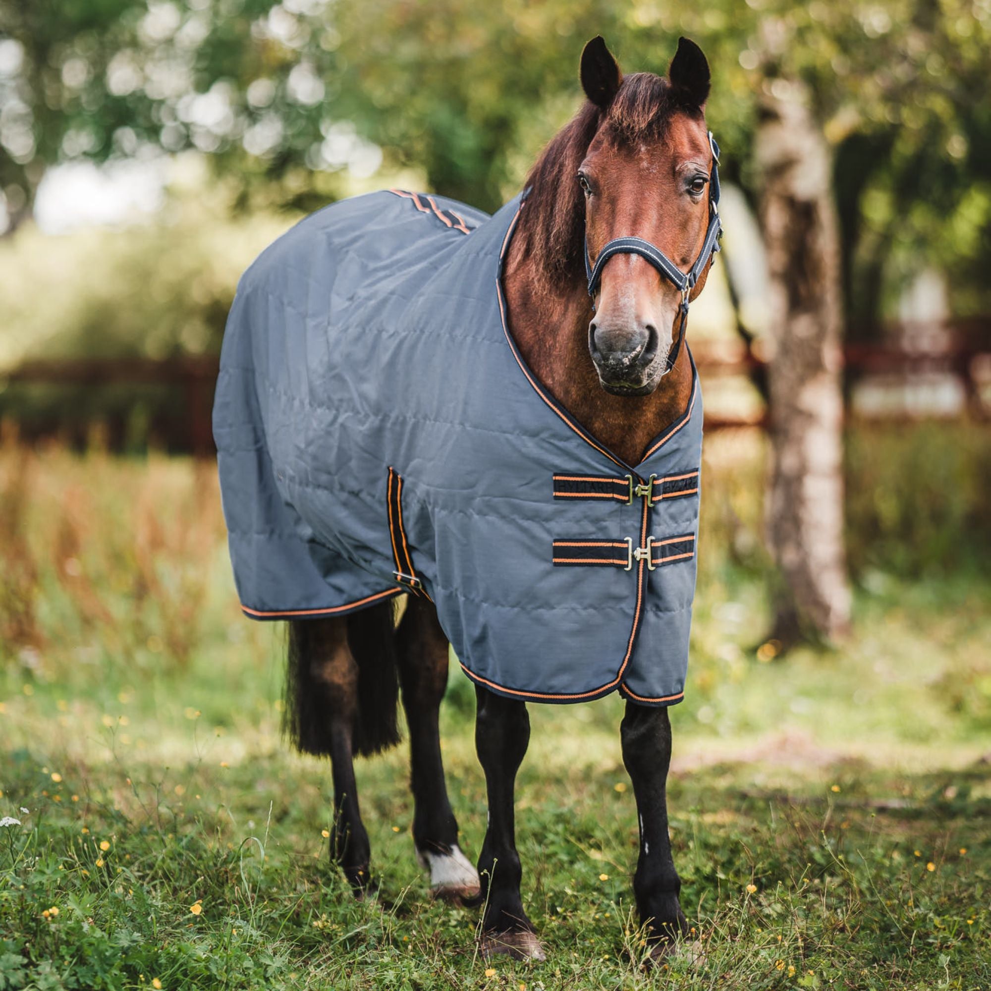 Hyltarp Stable rug Niki 0g china blue