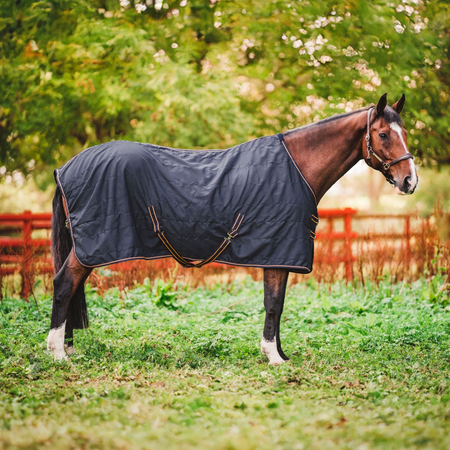 Coperta da paddock Niki 0 grammi