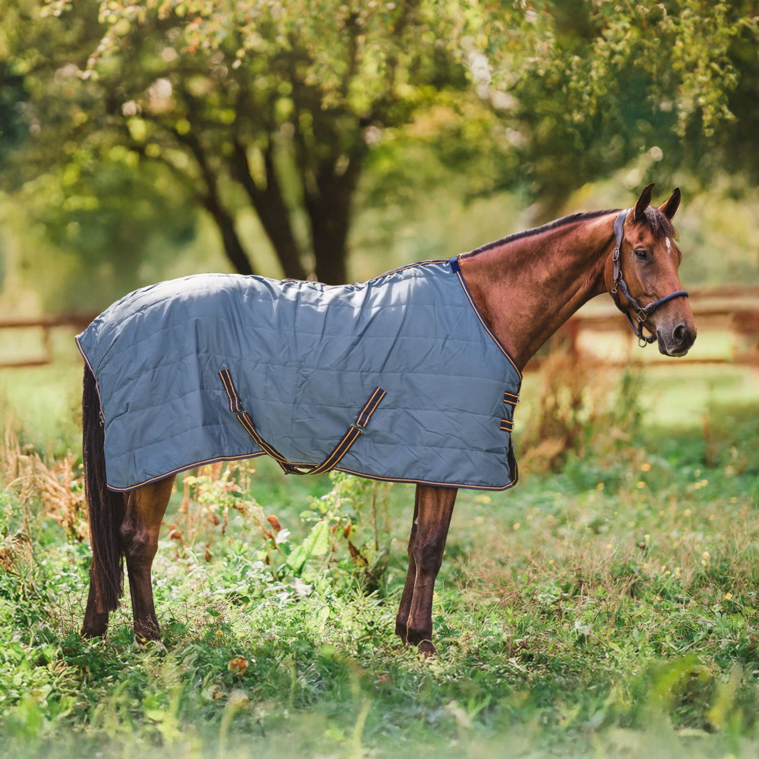 Hyltarp Stable rug Razzla 100g china blue