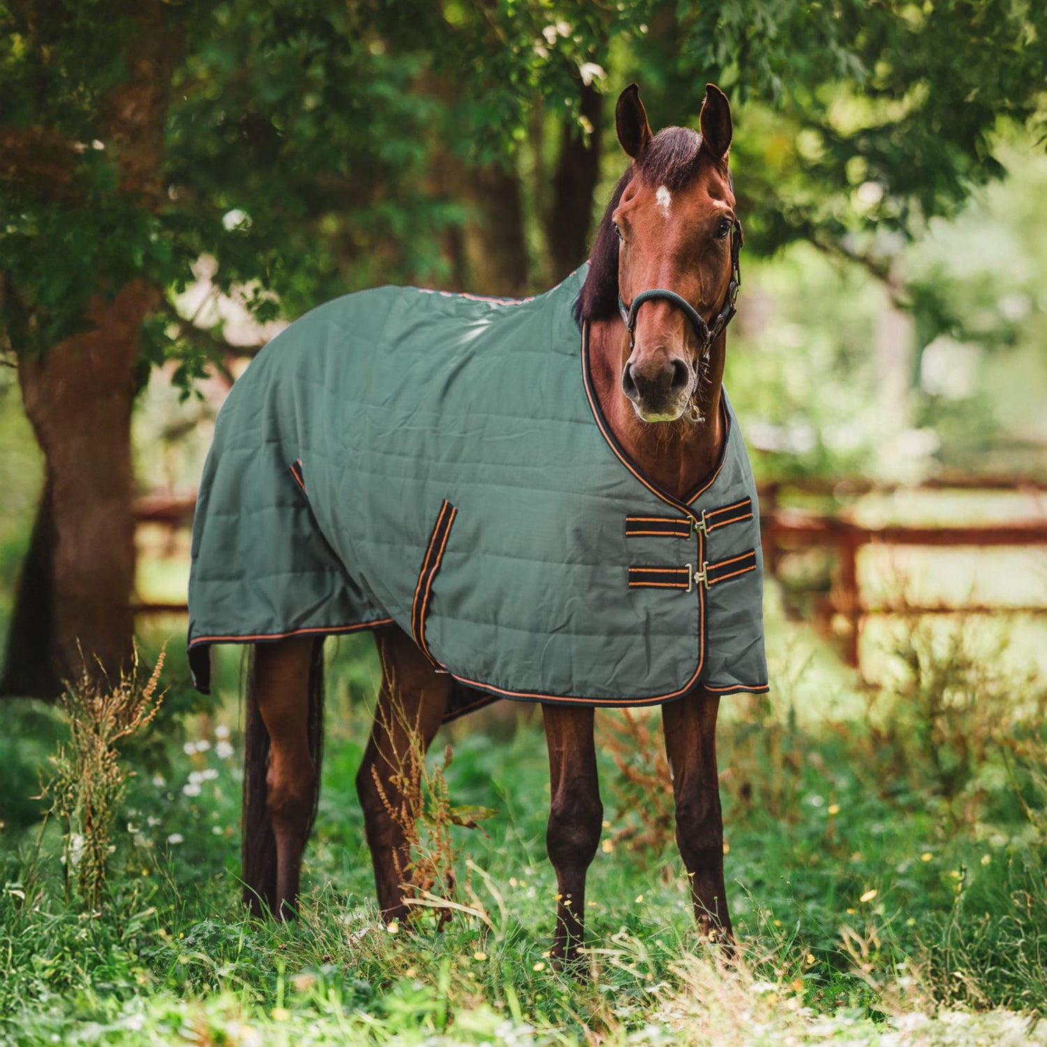 Hyltarp Stable rug Razzle 100g military green