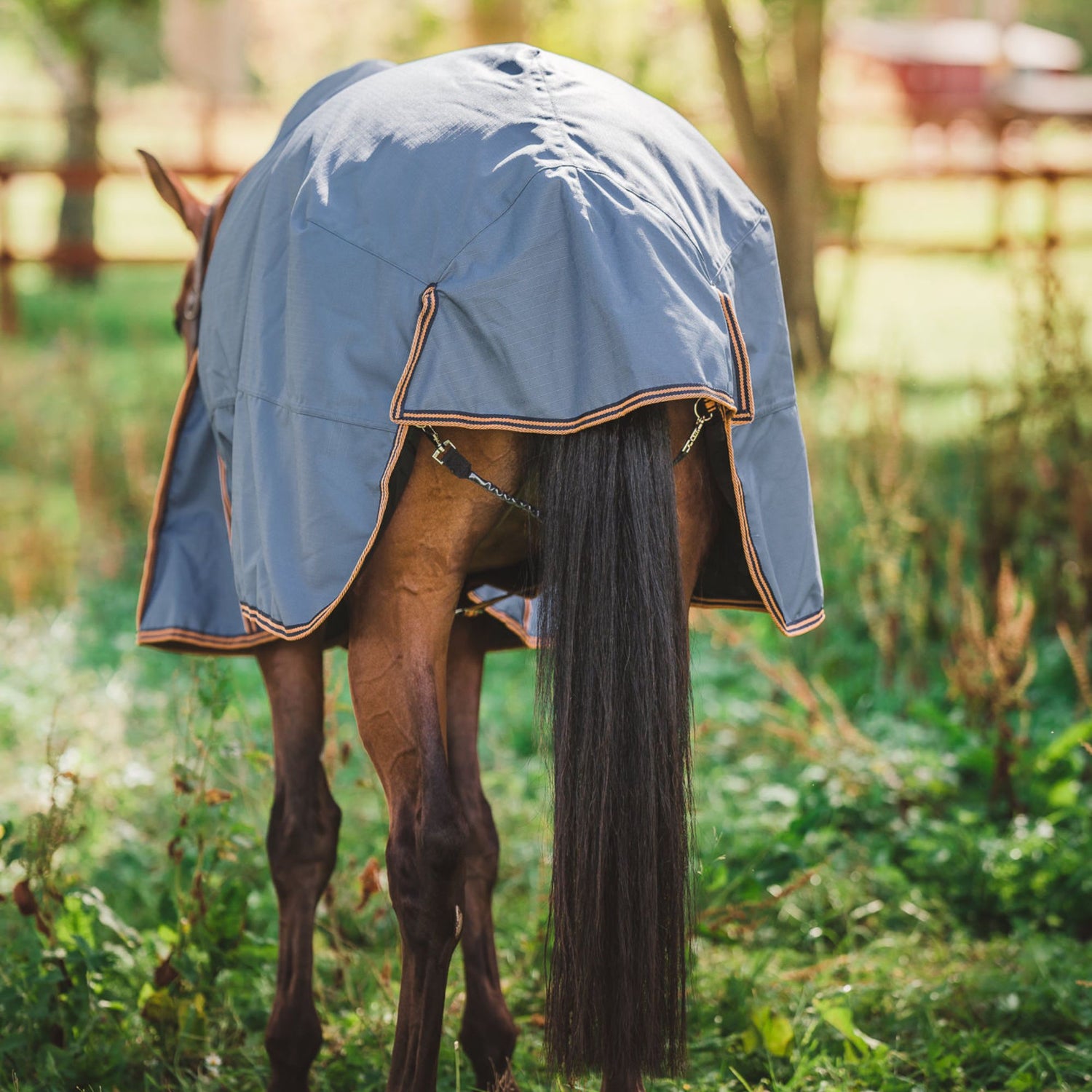 Hyltarp turnout rug Caisa 250g china blue