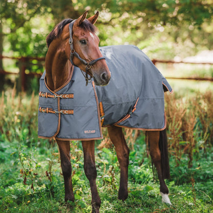 Hyltarp turnout rug Caisa 250g china blue