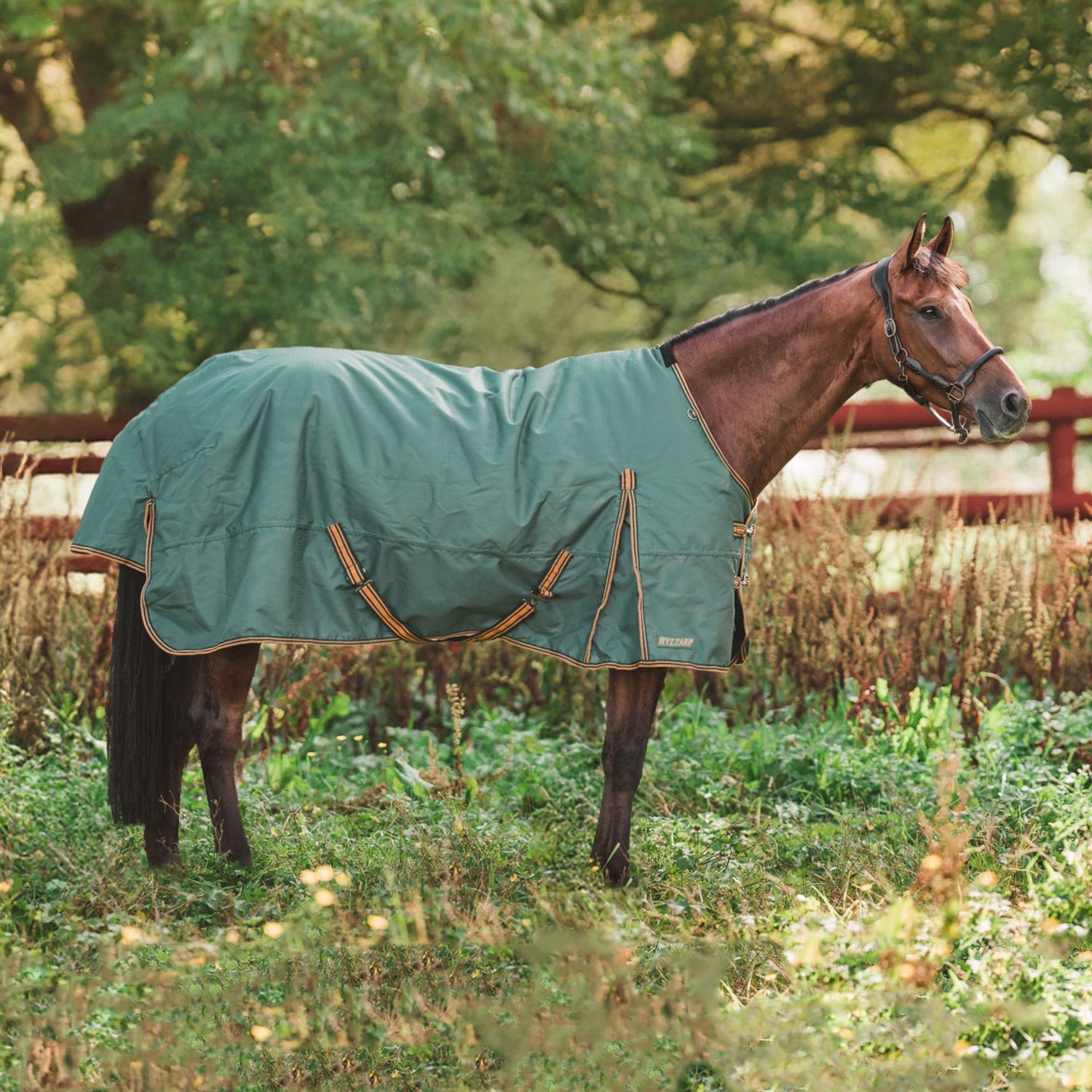 Hyltarp turnout rug caisa 250g military green